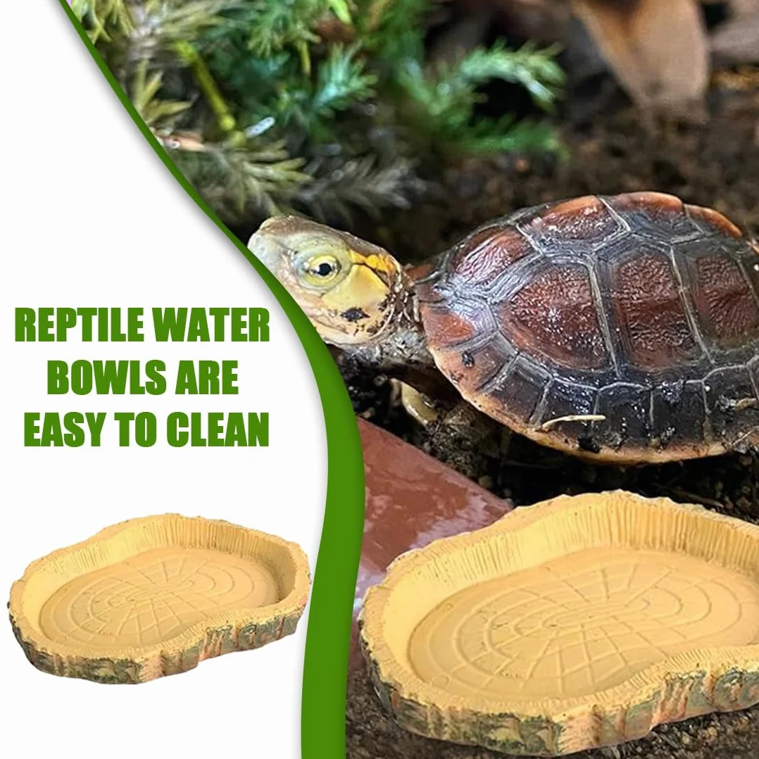 Bol d'Alimentation pour Reptiles 2 pièces Nourriture Tortue en Feuilles