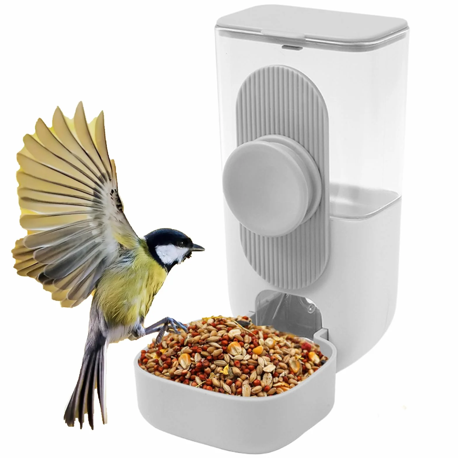 Mangeoires et abreuvoirs pour cage à oiseaux, système d'alimentation automatique pour perroquets