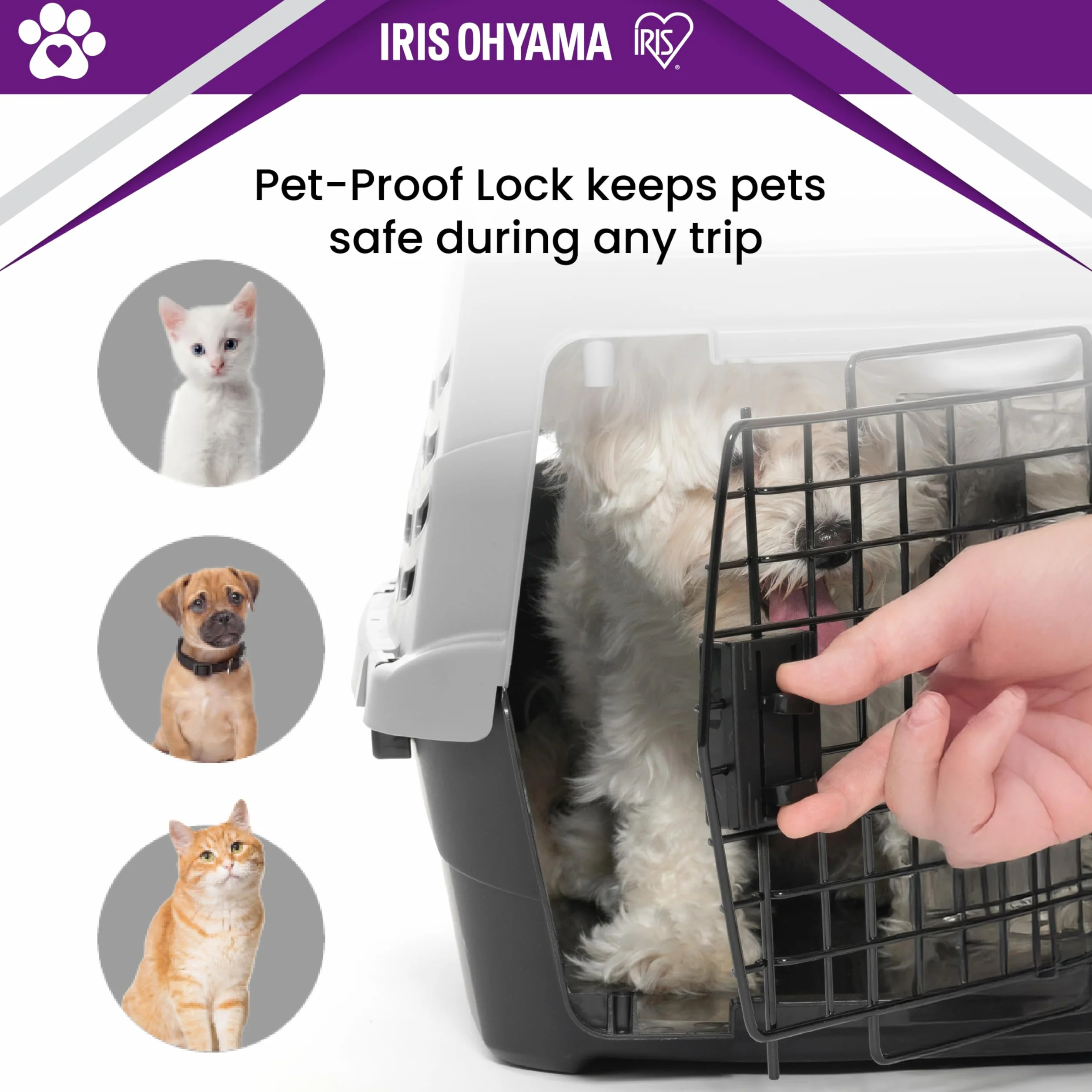 Iris Ohyama 36.5L Caisse de Transport Chat Cage Transport Chat BPA-Frei Robuste Légère Plastique 48×30.5×25cm
