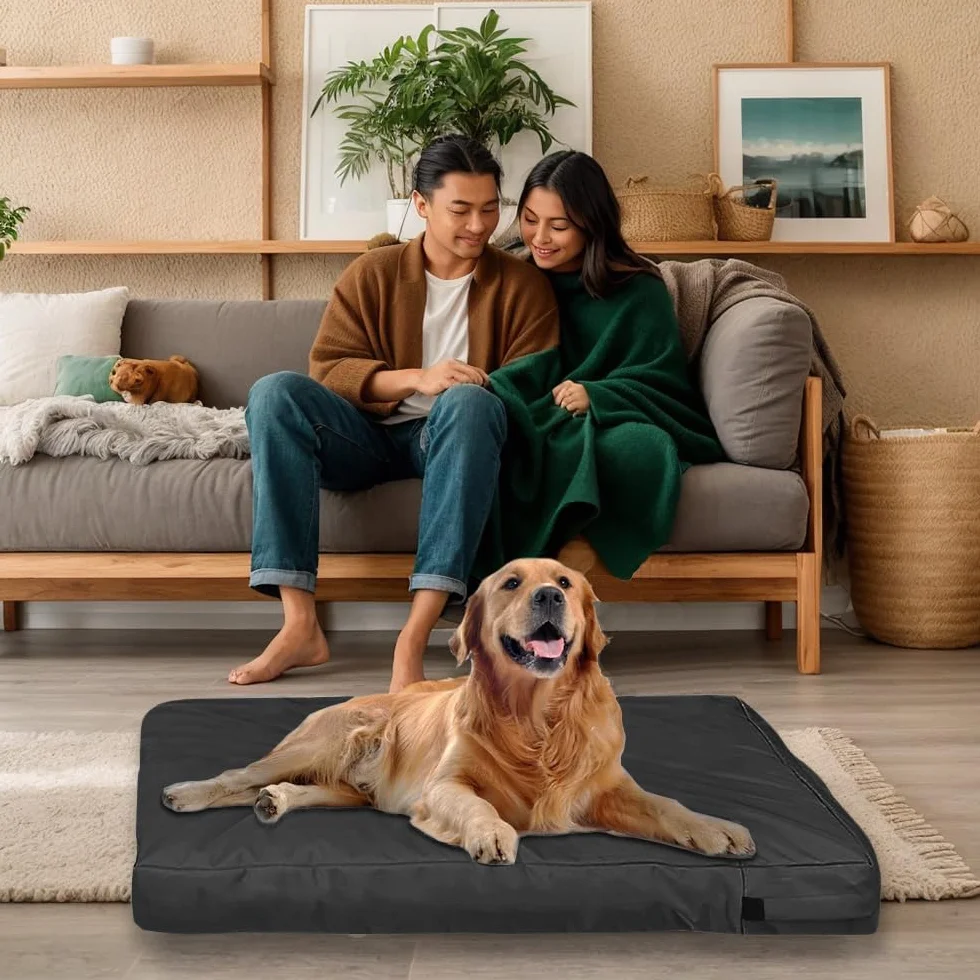 Housse de lit pour chien imperméable lavable amovible avec fermeture éclair noir L