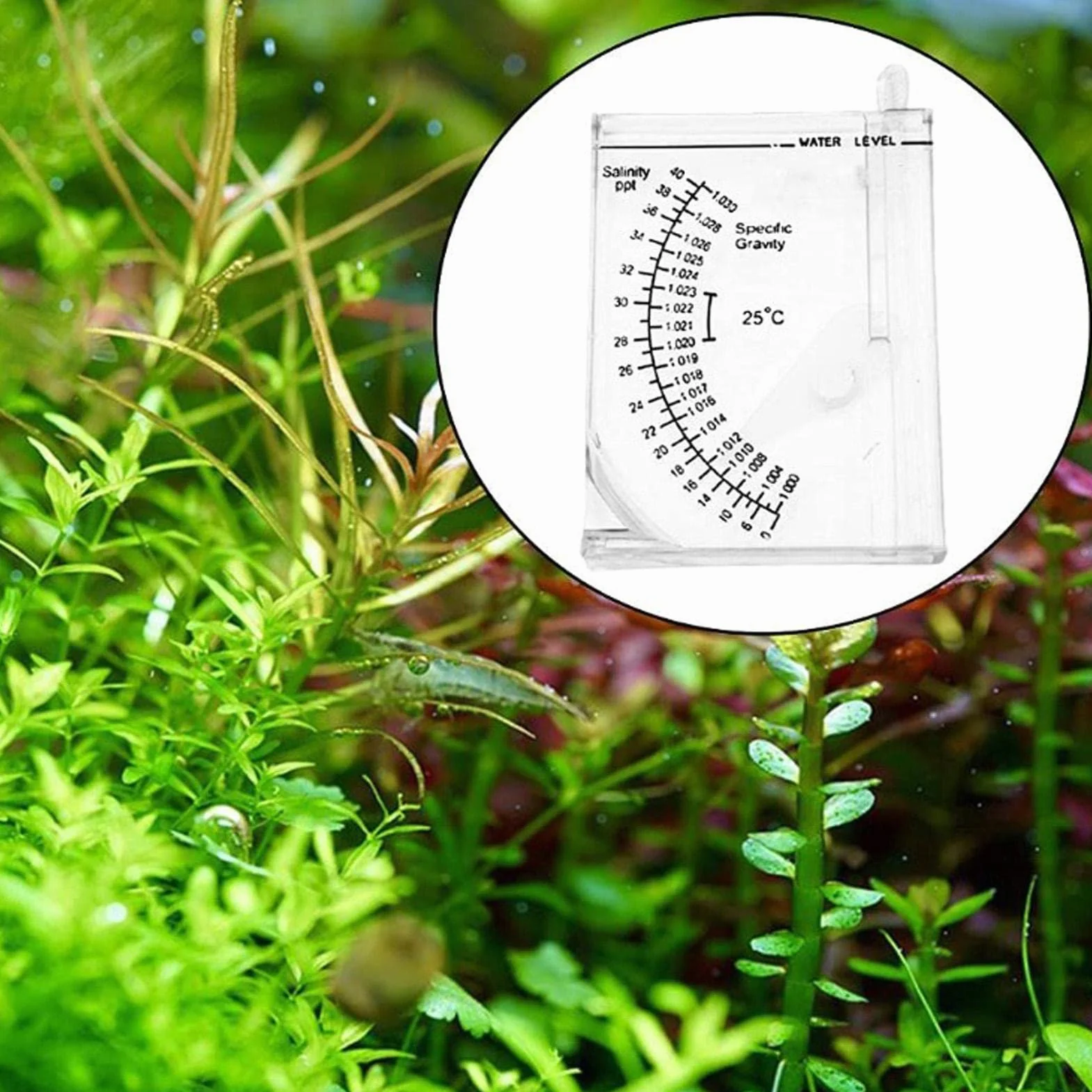 Hydromètre précis pour Aquarium Testeur eau salée gravité spécifique Bassin eau douce Automatique