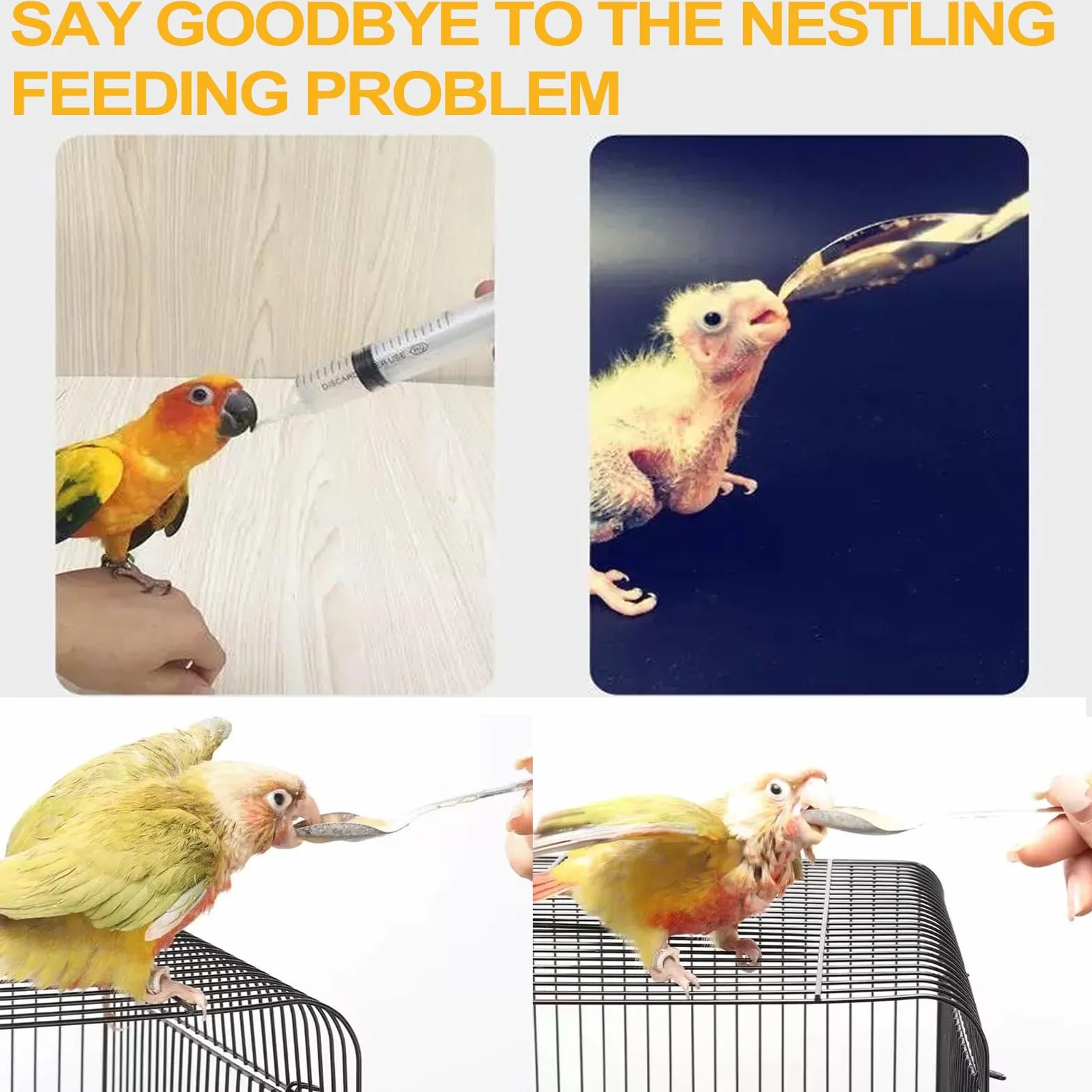 Tuyau d'alimentation pour jeunes oiseaux seringue 10 ml accessoires pigeons outil alimentation main bébés oiseaux perroquets