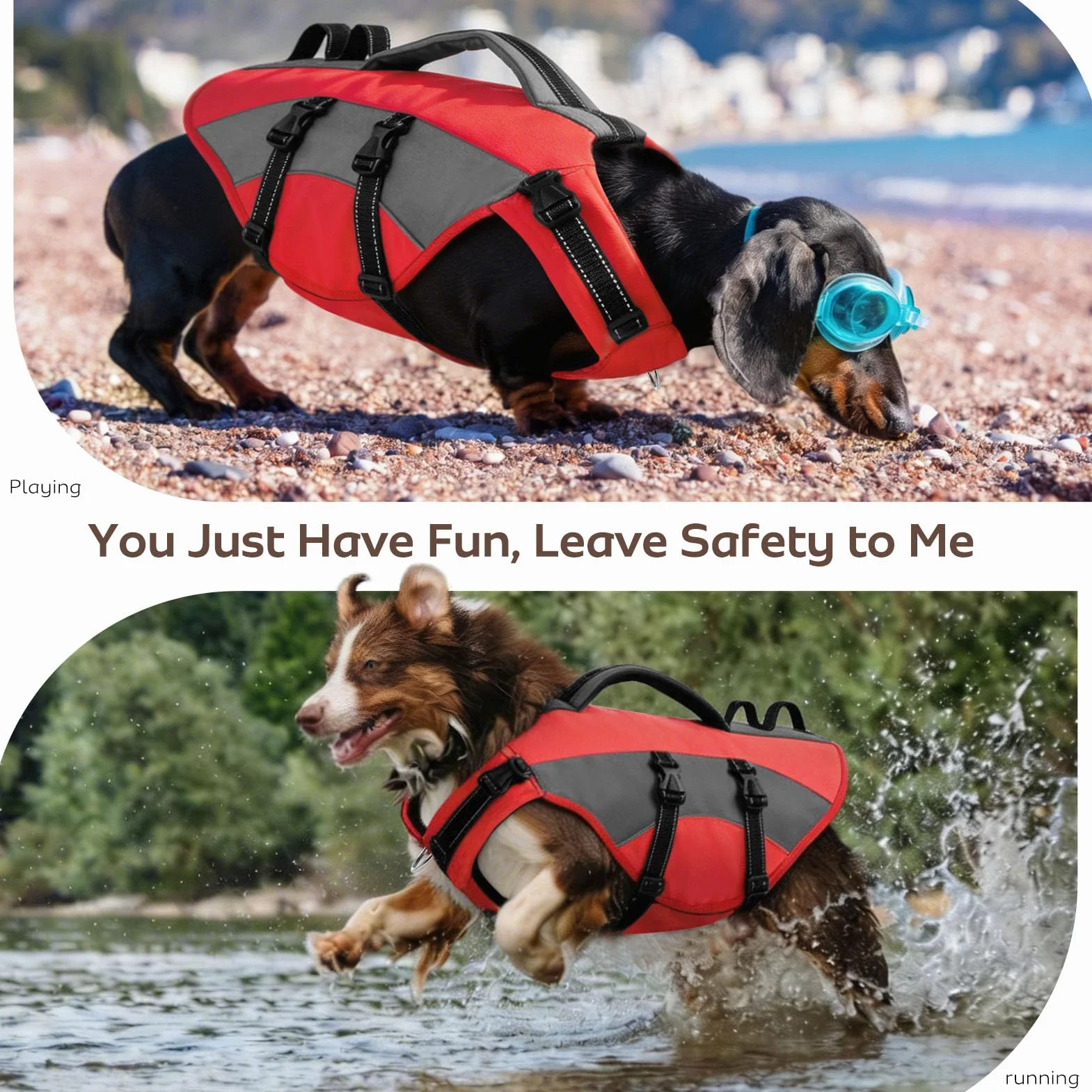 Gilet de Sauvetage pour Chien CITÉTOILE, Bouée Réglable avec Poignée Réfléchissante, Sports Nautiques, Rouge, M