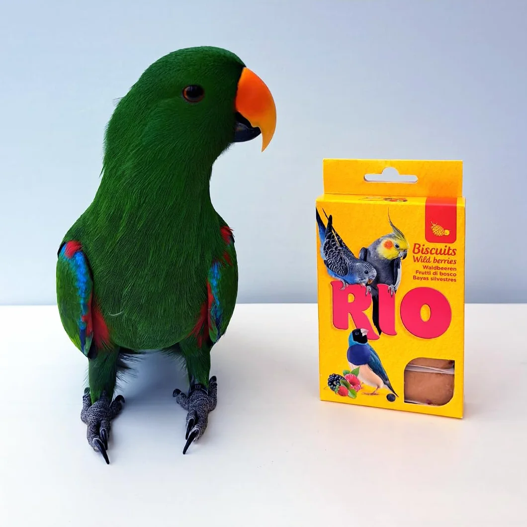 RIO Biscuits aux Baies Sauvages 4 x 35 g Aliment complémentaire pour Oiseaux d’Ornement
