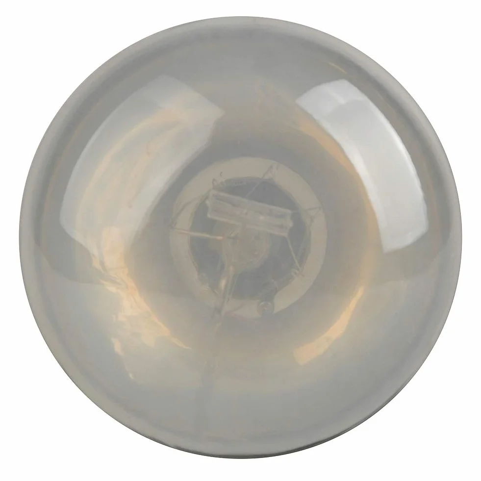 Lucky Herp Ampoule UVA UVB pour reptile 80 W E27 R80