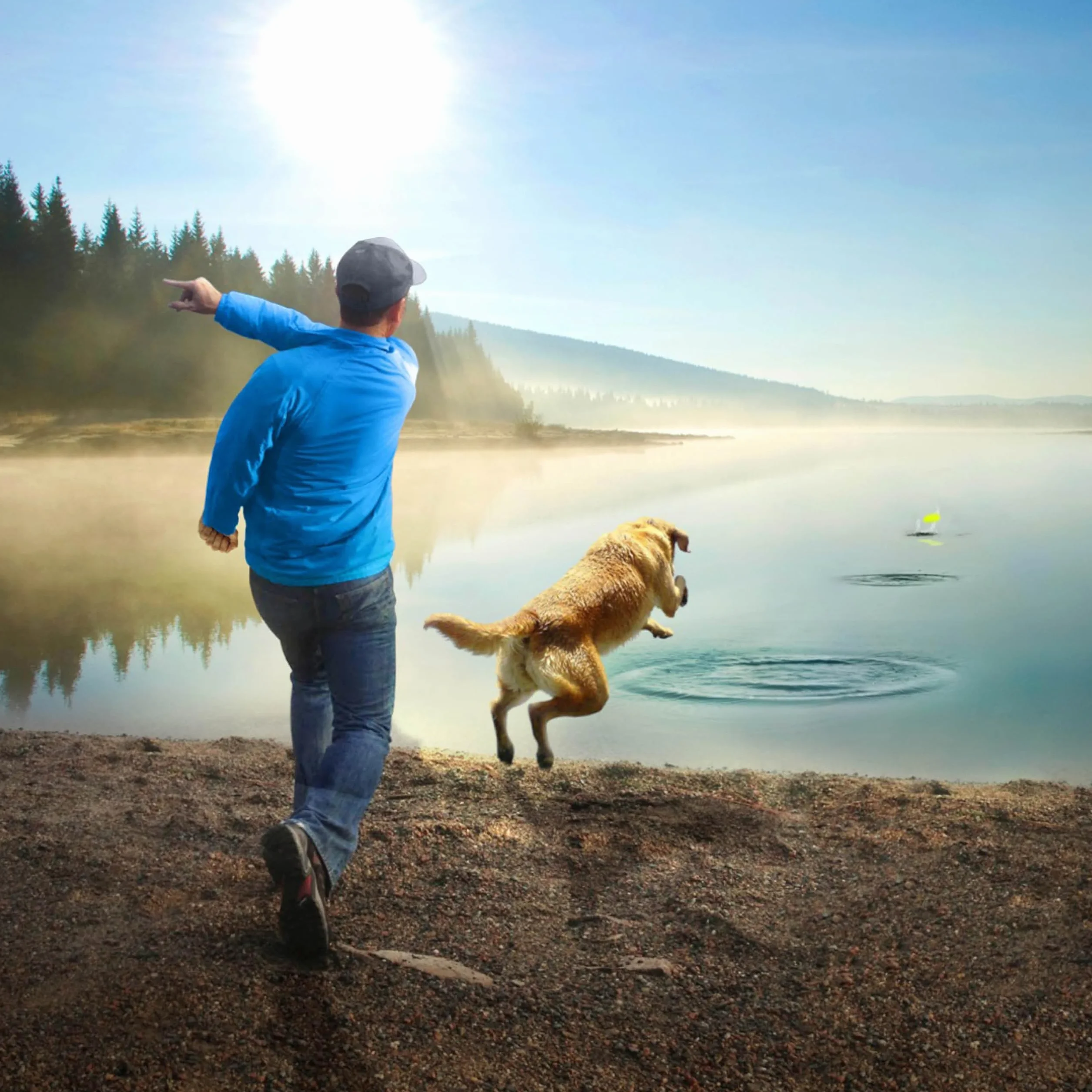 PetSafe Recharge Spray répulsif Automatique SSSCAT pour Animaux