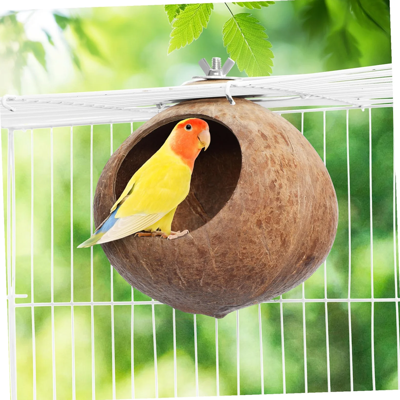 Balacoo Nid d'Oiseau en Noix de Naturelle, Cabane Suspendue pour Hamster, Perruche, Canari et Petite Souris, Abri de Repos et Jouet de Cage Écologique, Cachette pour Reproduction (15 cm)