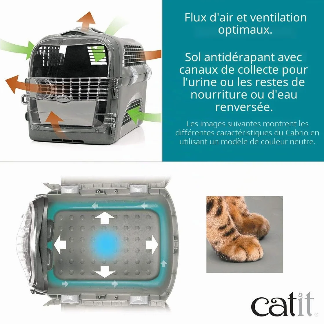 Catit Cage de Transport Cabrio pour Chat Turquoise