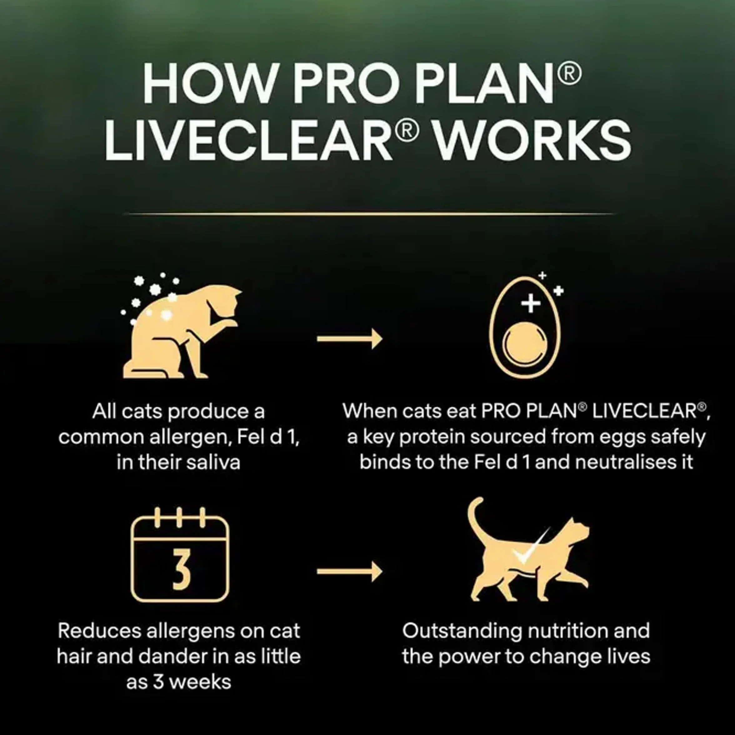 PURINA PRO PLAN Liveclear Croquettes Chat Adulte Stérilisé Réduit Allergènes Poils Dinde Sac 2,8kg