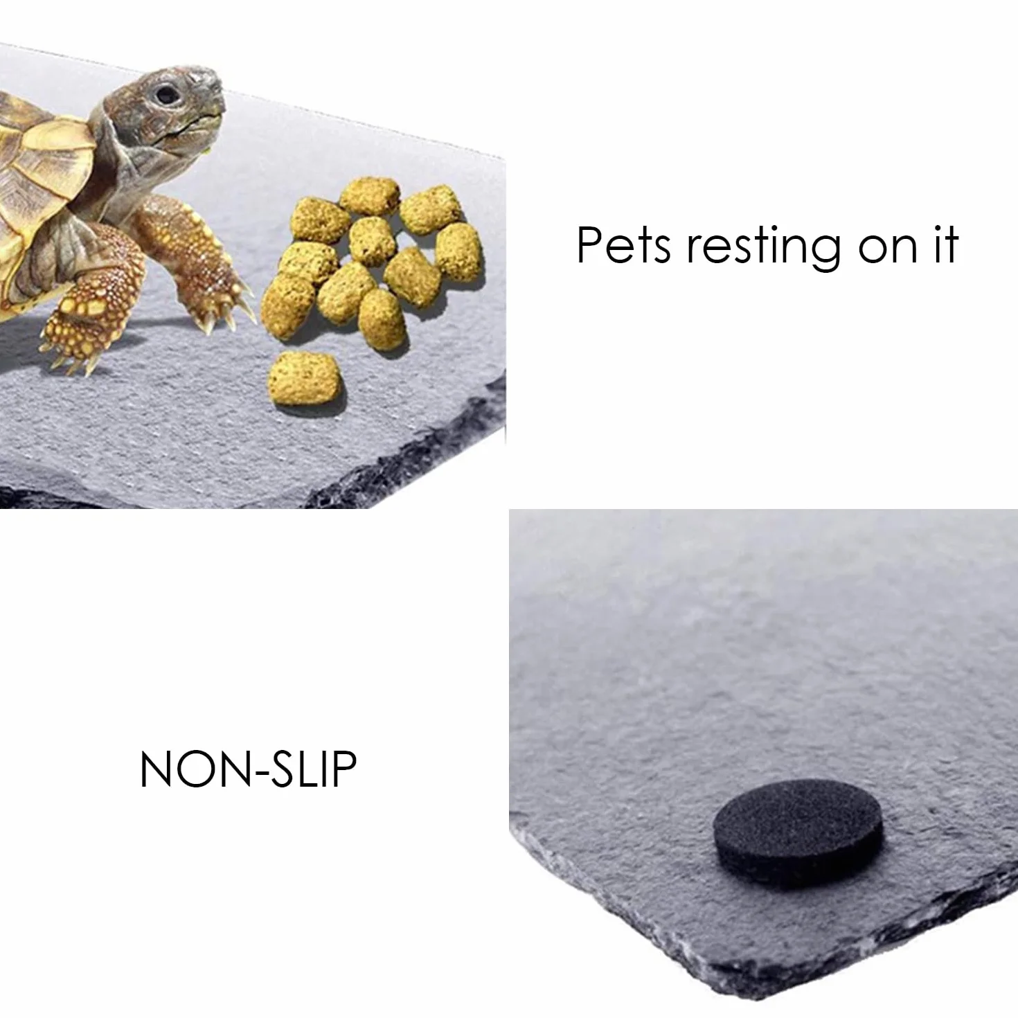 Ardoise Pour Animaux De Compagnie Grimpante, Brosse À Cheveux, Plate-Forme De Bain Pour Tortue, Pinceau À Outils De Peinture