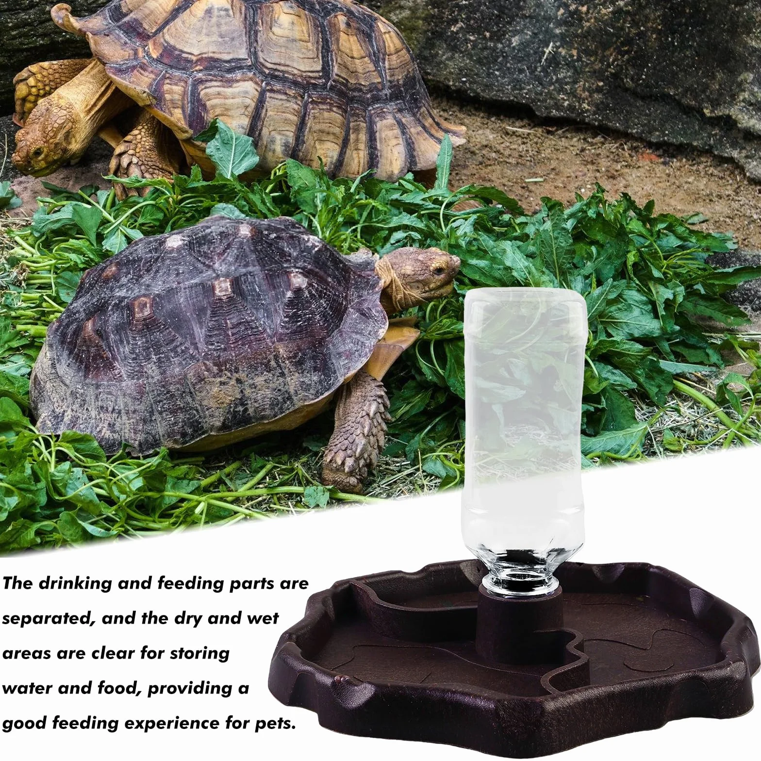 Vegena 2 en 1 Distributeur d'eau pour Reptile Abreuvoir Tortue Mangeoire Bol de Nourriture