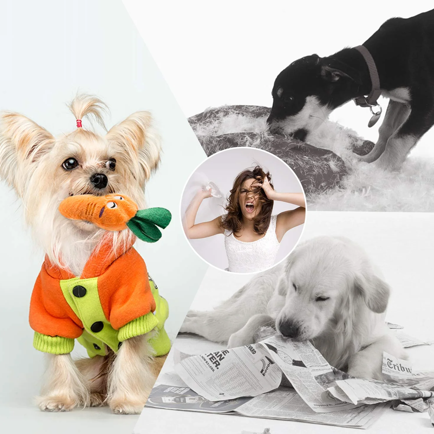 Jouets Petit Chien Couineur En Peluche 12pcs Avec Sac De Rangement, Jouets Mâcher Doux Anti-Ennui Formes Fruits Et Légumes