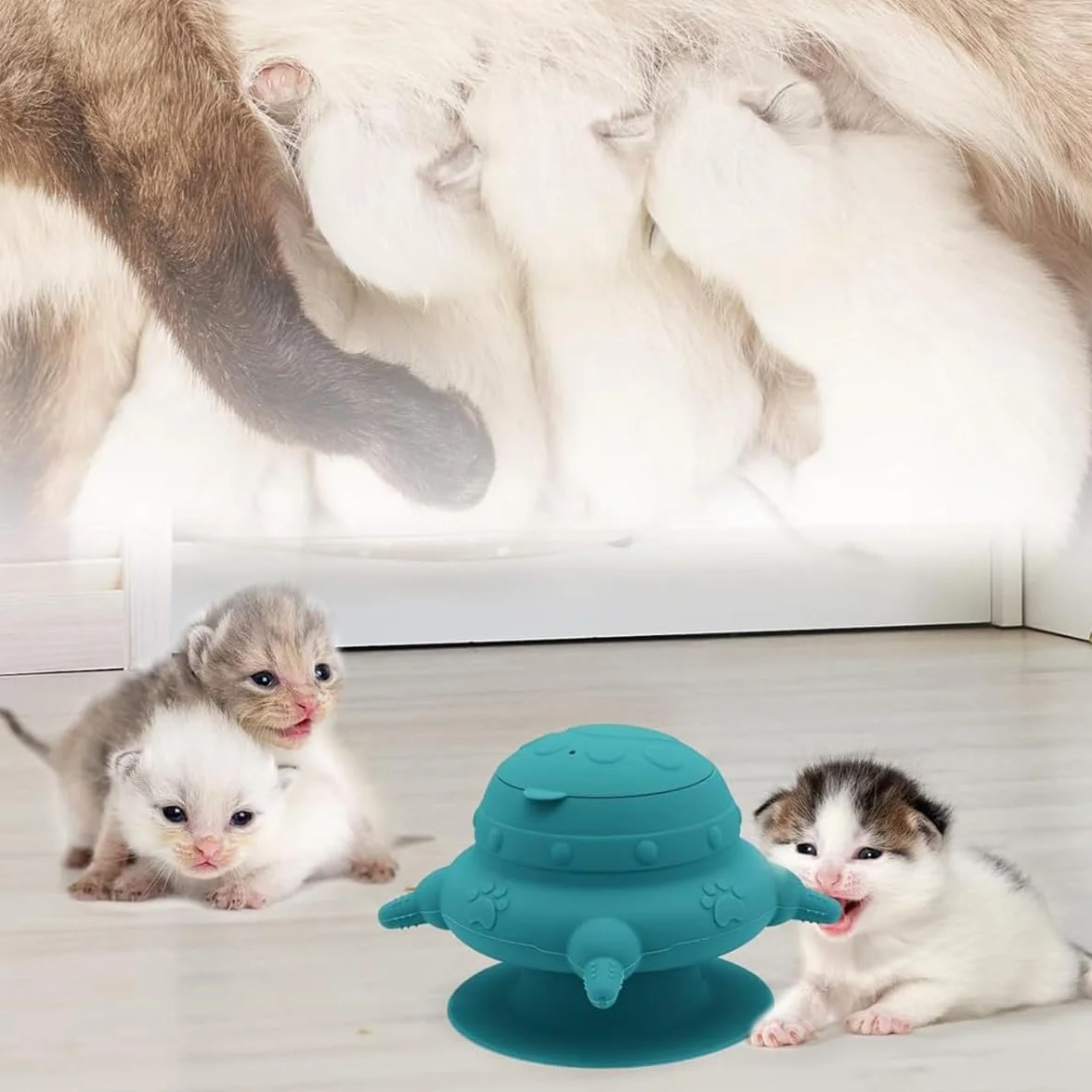Station d'alimentation à lait pour chiots et chats avec 4 tétons - Silicone auto-nourrissante