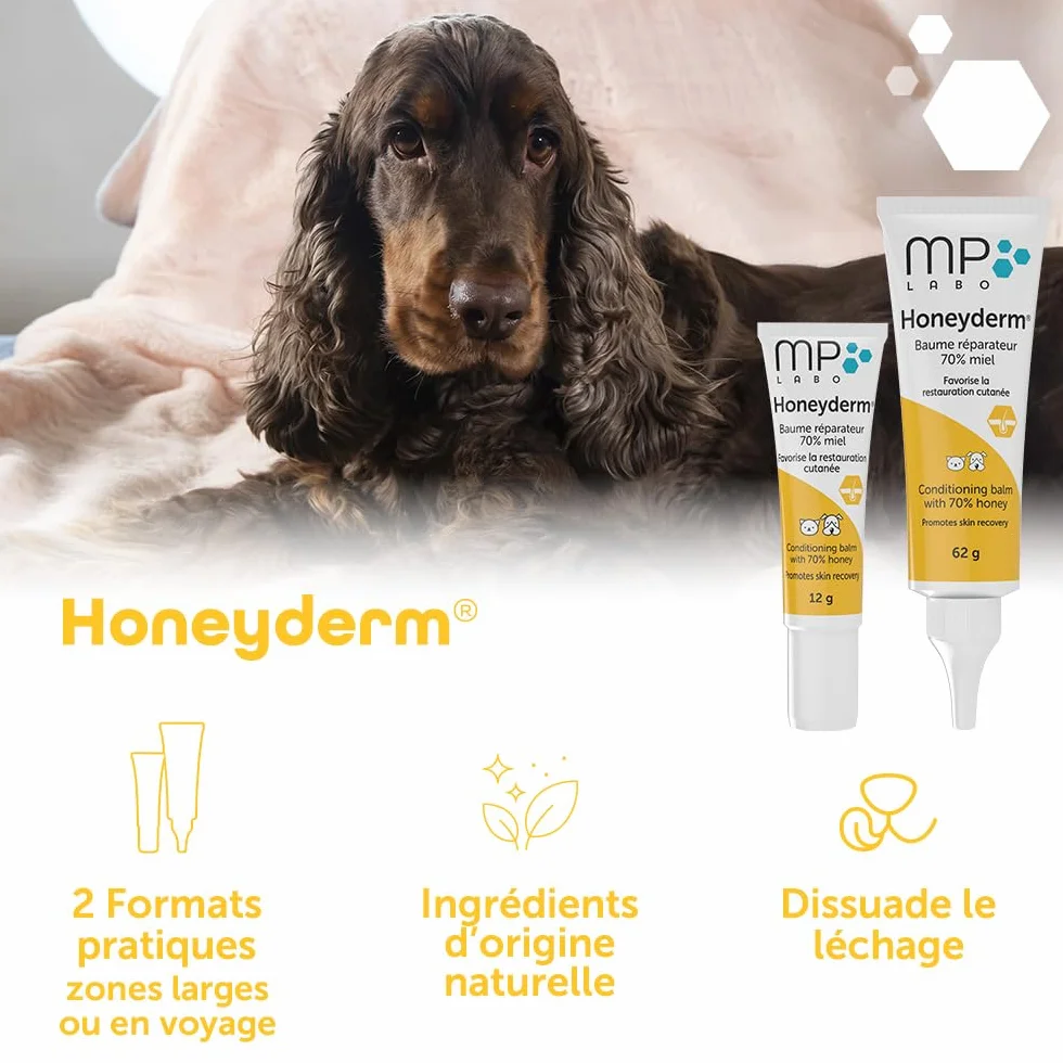 MP Labo Honeyderm Baume Réparateur 62g 70% Miel Chien Chat Acide Hyaluronique Vitamines A E Beurre Karité Aloe Vera Huile Lavande