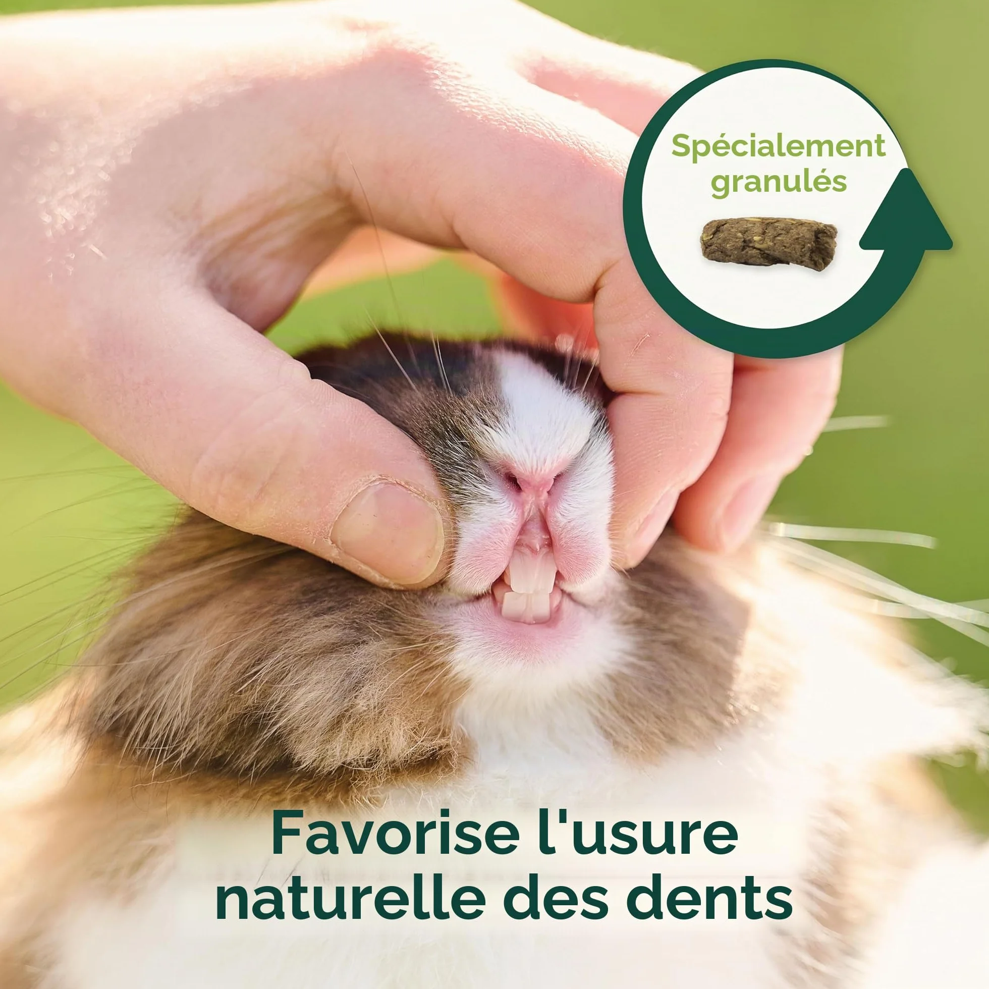 BEAPHAR Care+ Nature Alimentation Complet pour Lapin sans céréales Riche en Fibres ingrédients naturels 1,5 kg