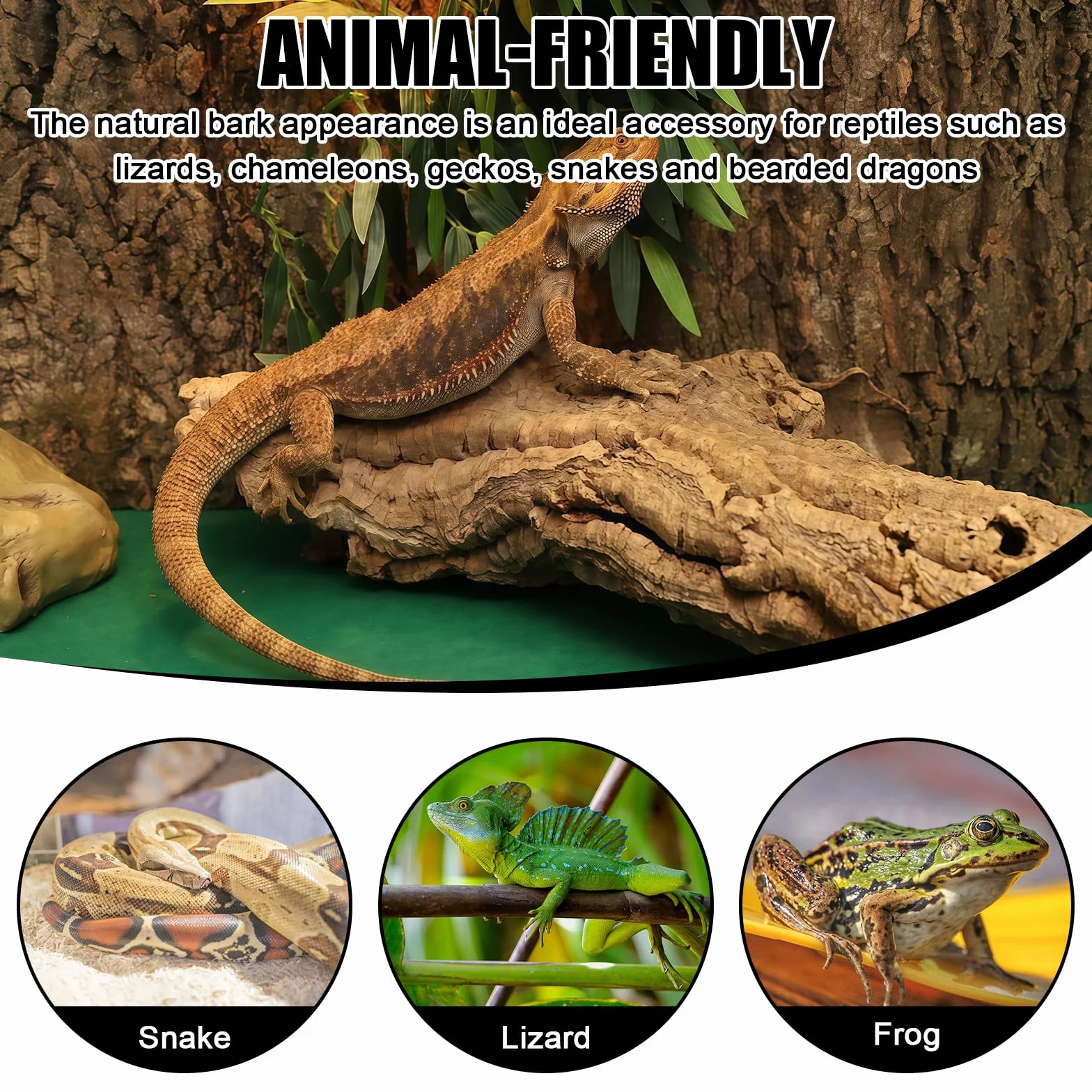 Écorce de liège naturelle 20x30 cm tapis d'escalade pour reptiles terrarium geckos lézards