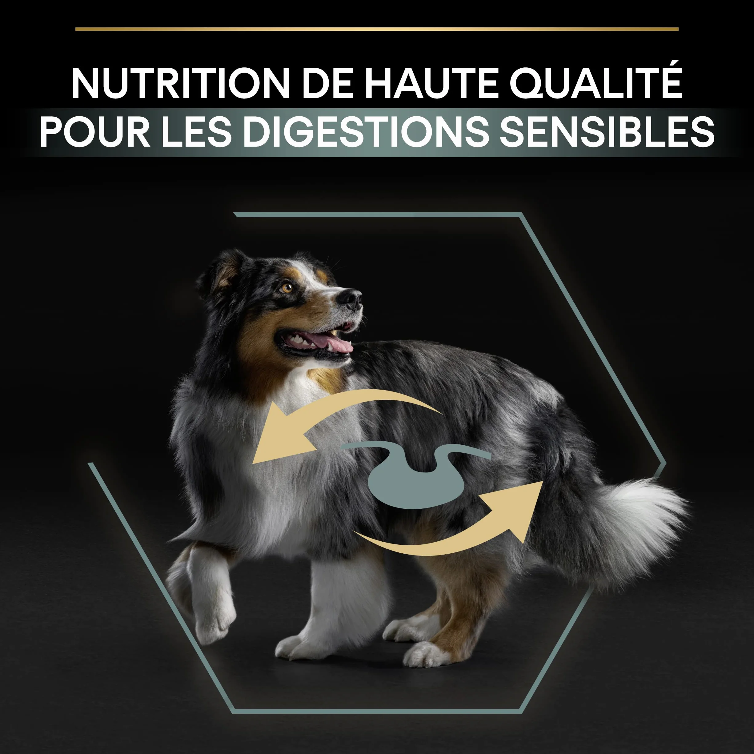 PURINA PRO PLAN Croquettes sans céréales pour chien adulte grande taille Digestion Sensible Dinde 12kg