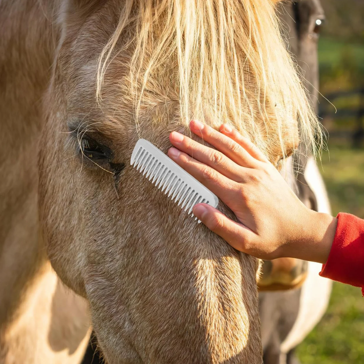 Toddmomy Peigne À Dents pour Cheval Brosse À Dents en Anneau Peigne en Métal pour Chiens