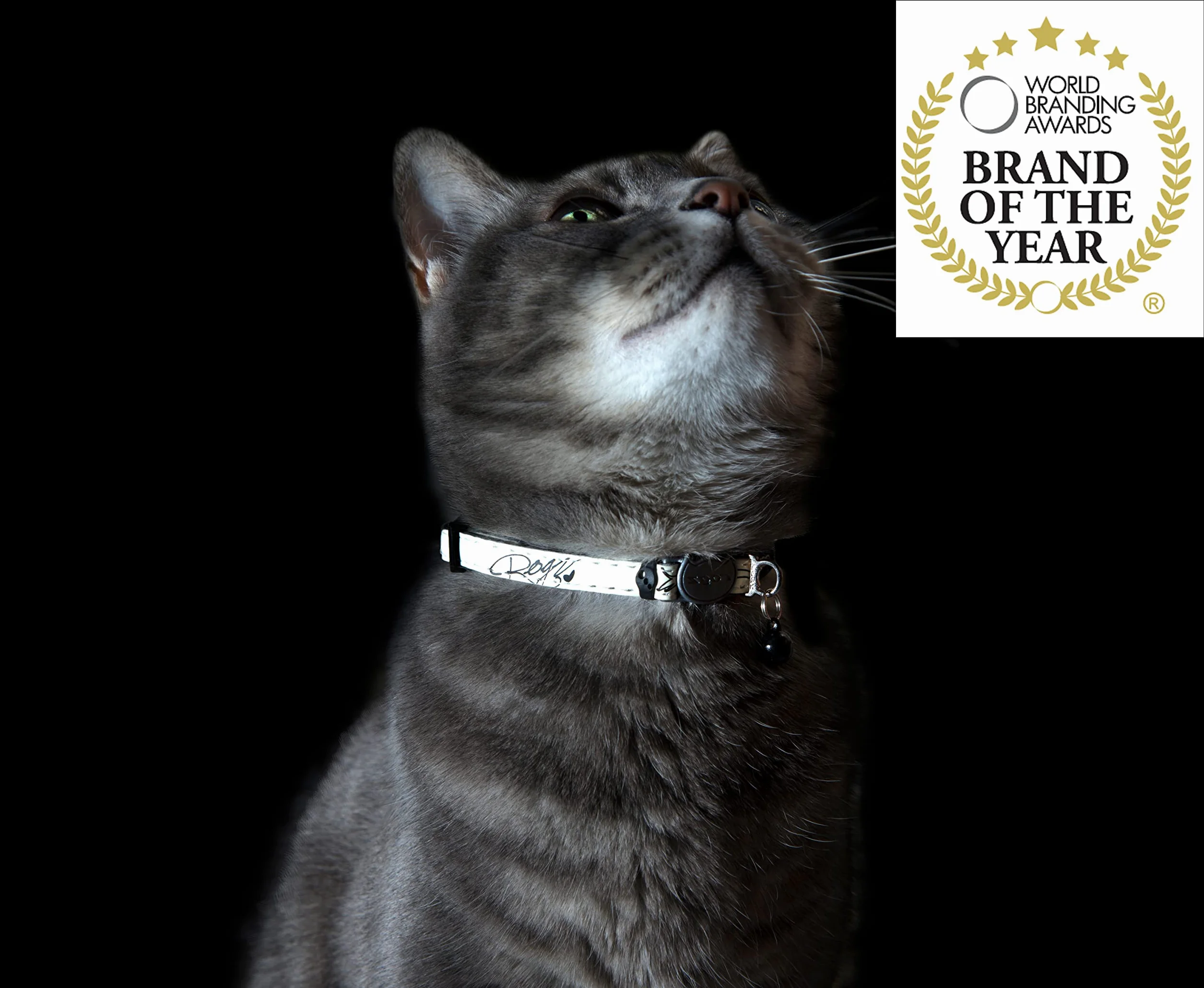 Rogs CATZ GlowCat Collier pour Chat Black
