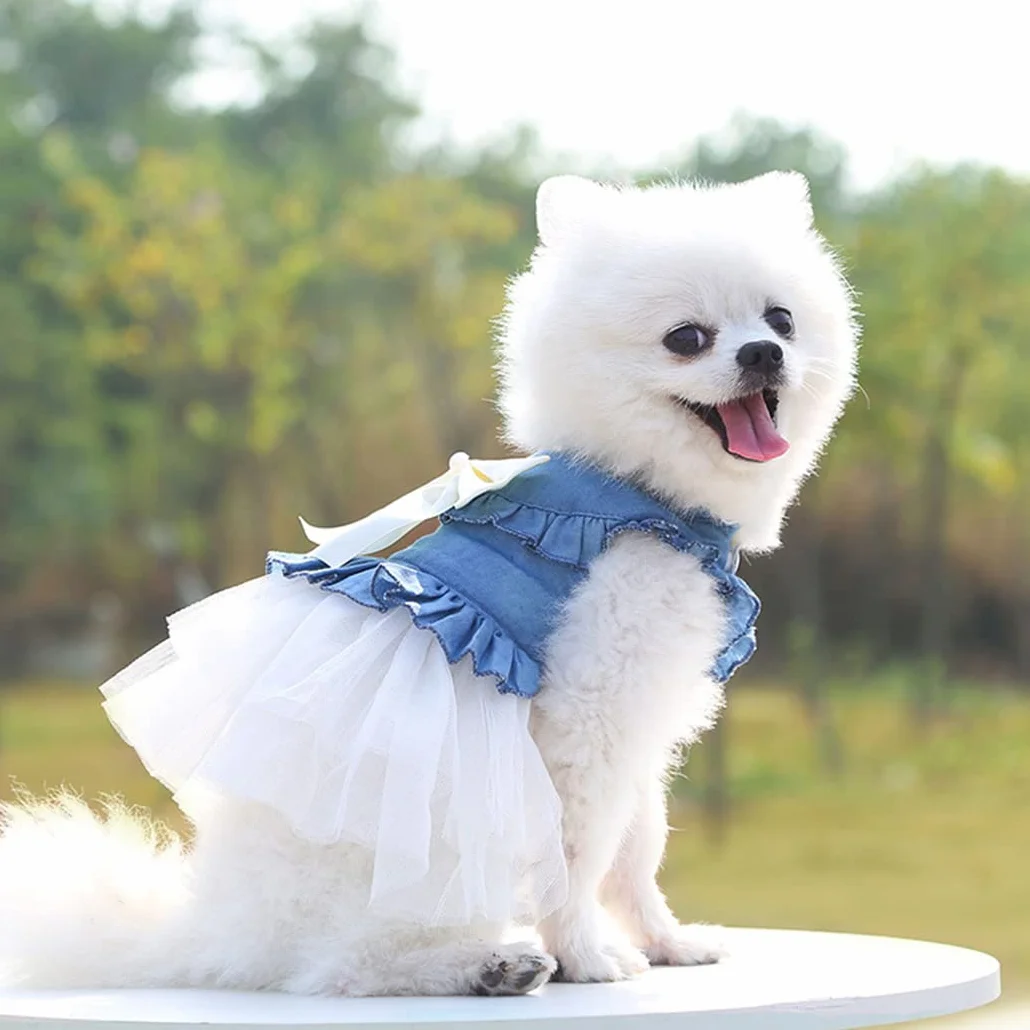 XIAOYU Chien Robe Animal de Compagnie Bowknot Princesse Jupe été Denim Gilet Chemises Douce Soirée Mariage vêtements Blanc XXL