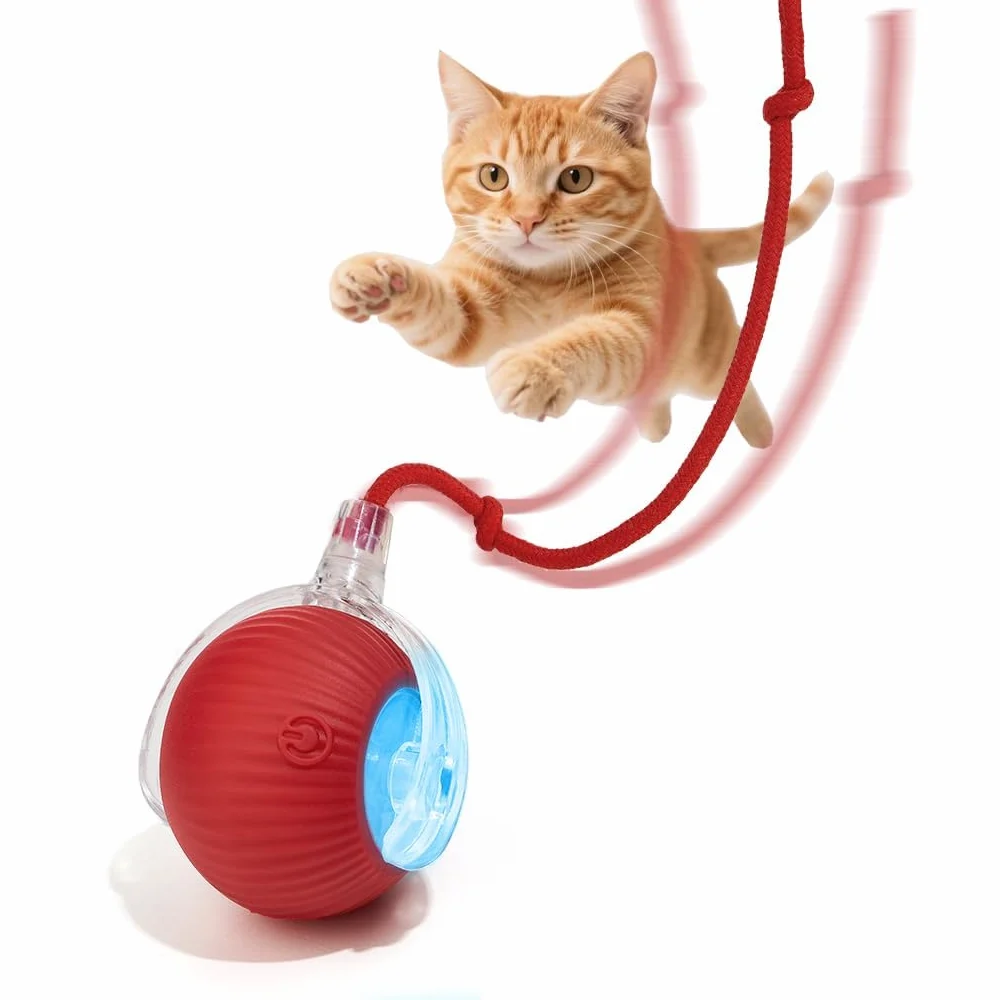 Balle interactive pour chat, rechargeable et automatique, avec queue, jouet à déplacement rapide pour chaton d'intérieur ennuyé chiot