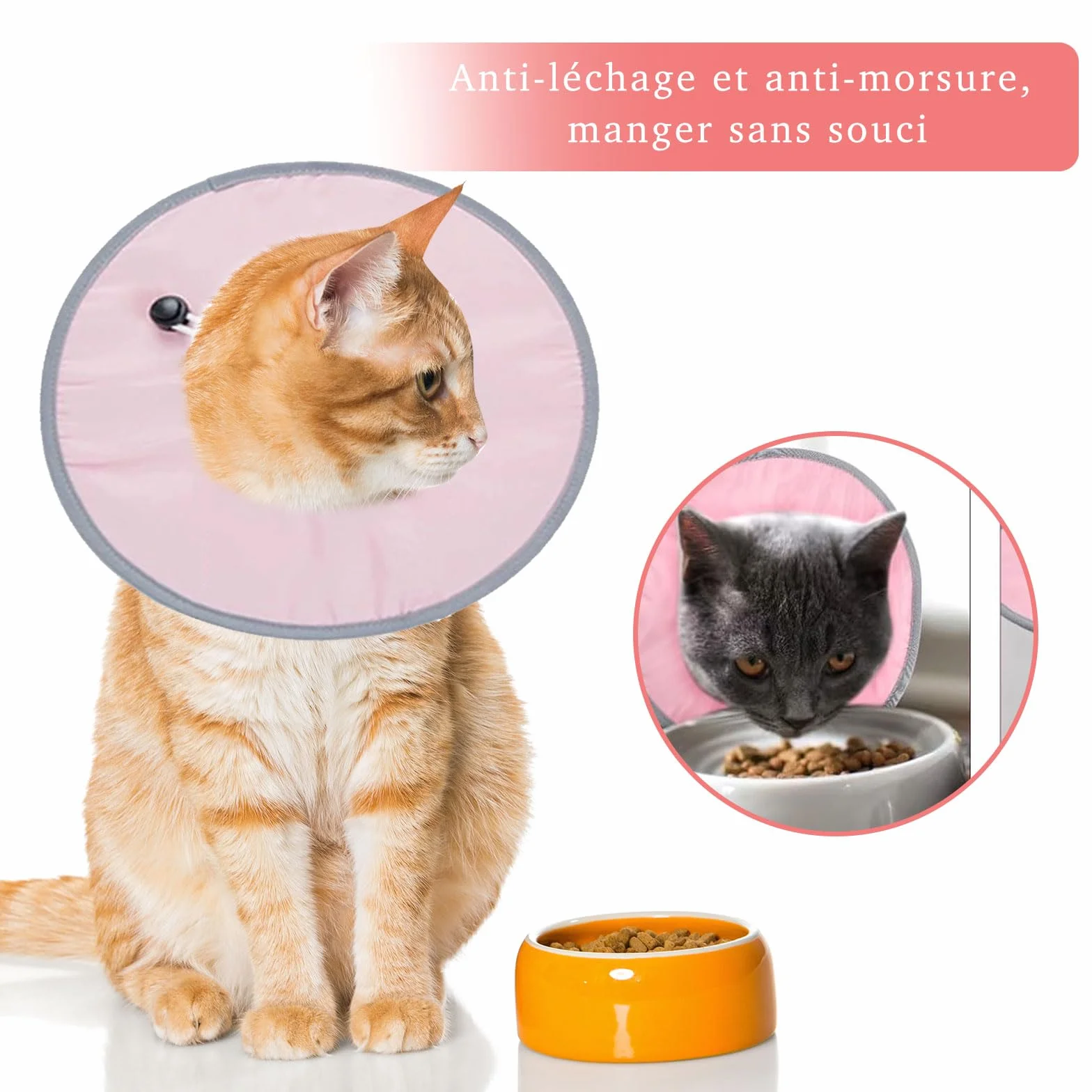 Collerette Chat Anti Léchage Réglable pour Chirurgie GIONAR Rose