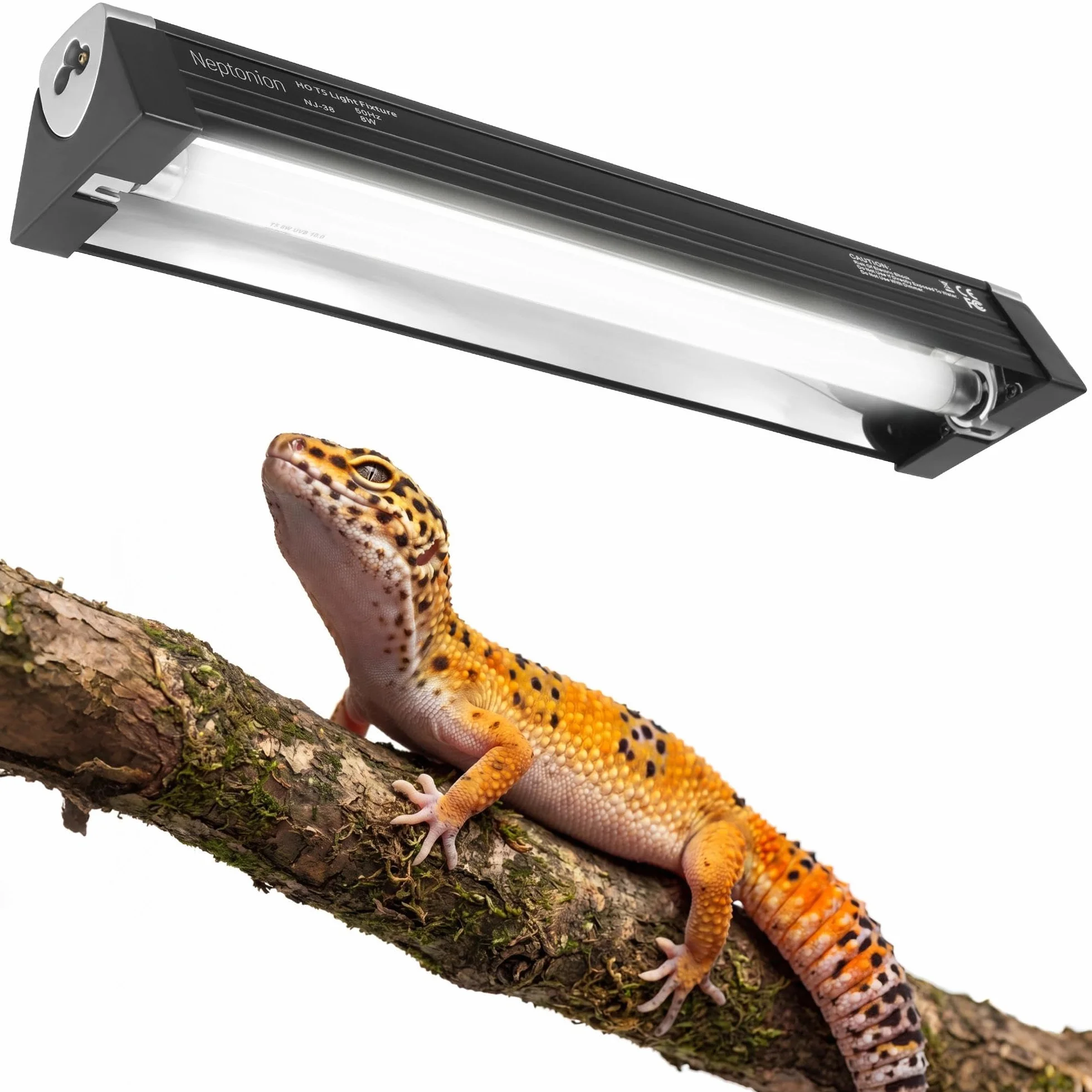 Lampe UVB T5 31,8 cm 8 W pour reptile terrarium avec ampoule UVB 5.0
