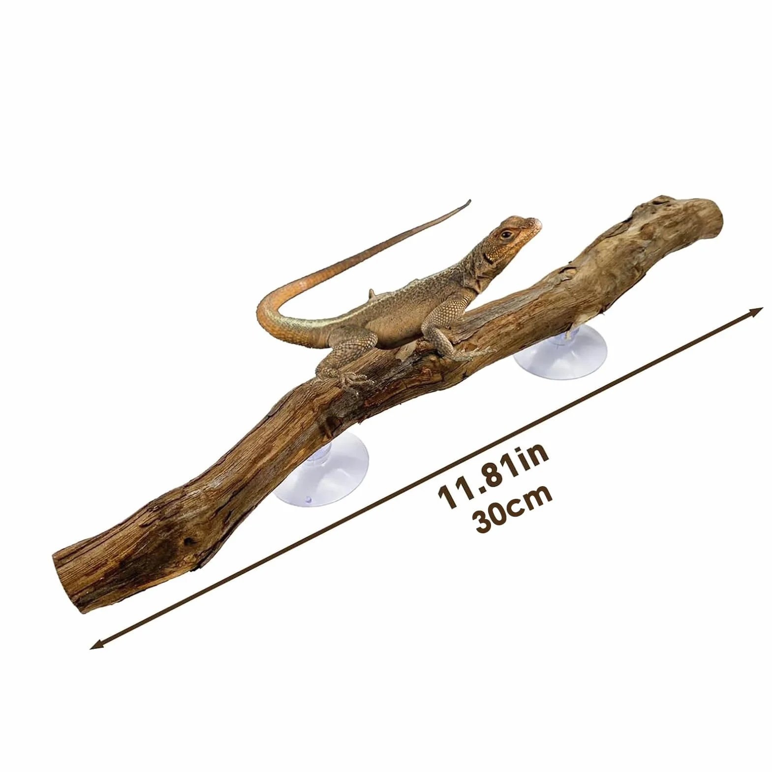 Branches d'escalade pour reptiles 30 cm Tronc d'arbre en bois naturel Décoration terrarium Antidérapant Lézard Serpent Gecko