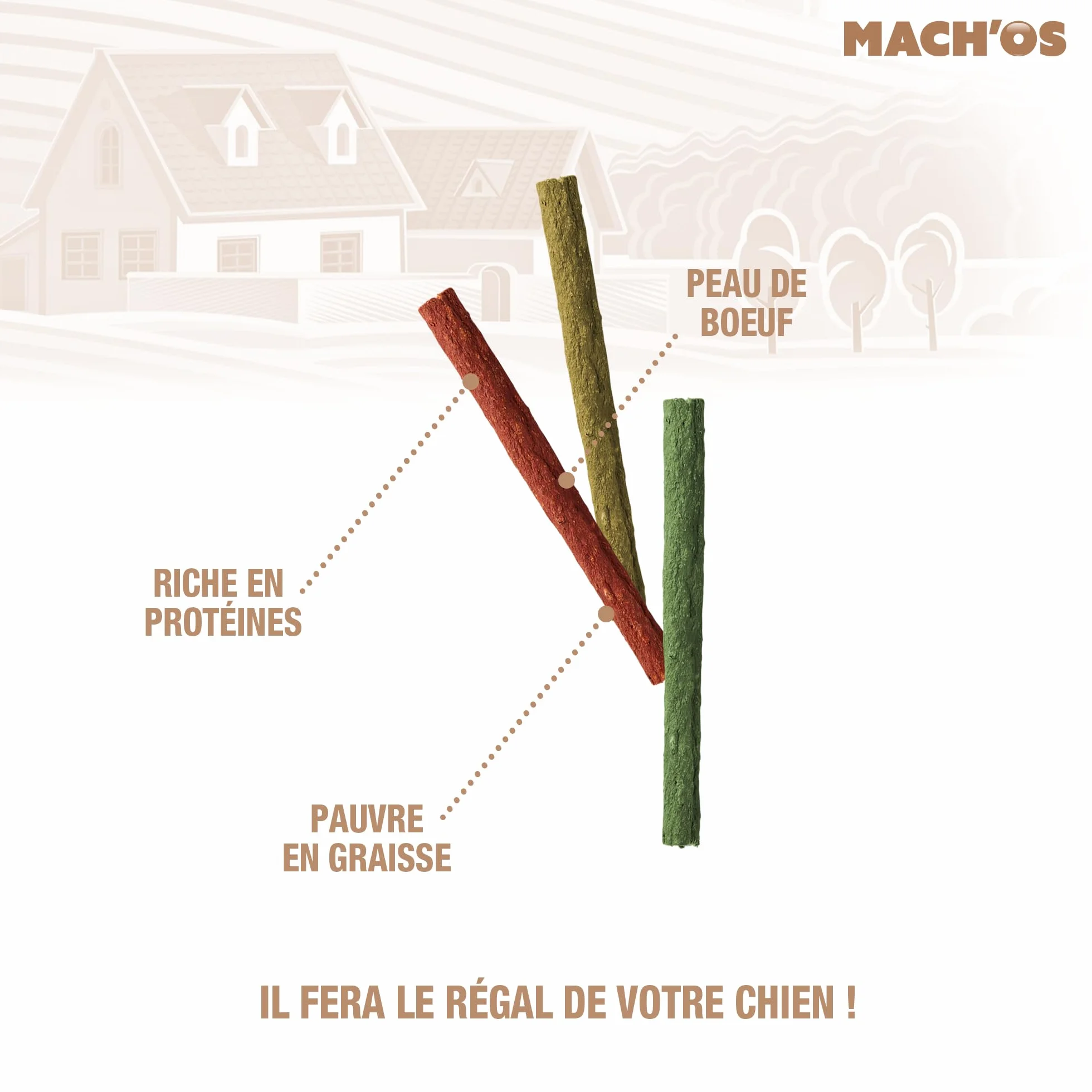 RIGA - Mach'os - Bâtonnet Aggloméré - Friandise Chien - Peau De Buffle - Riche en Protéines - Hygiène Buccale - Mastication Et Récompense - pour Petit Chien - x 10