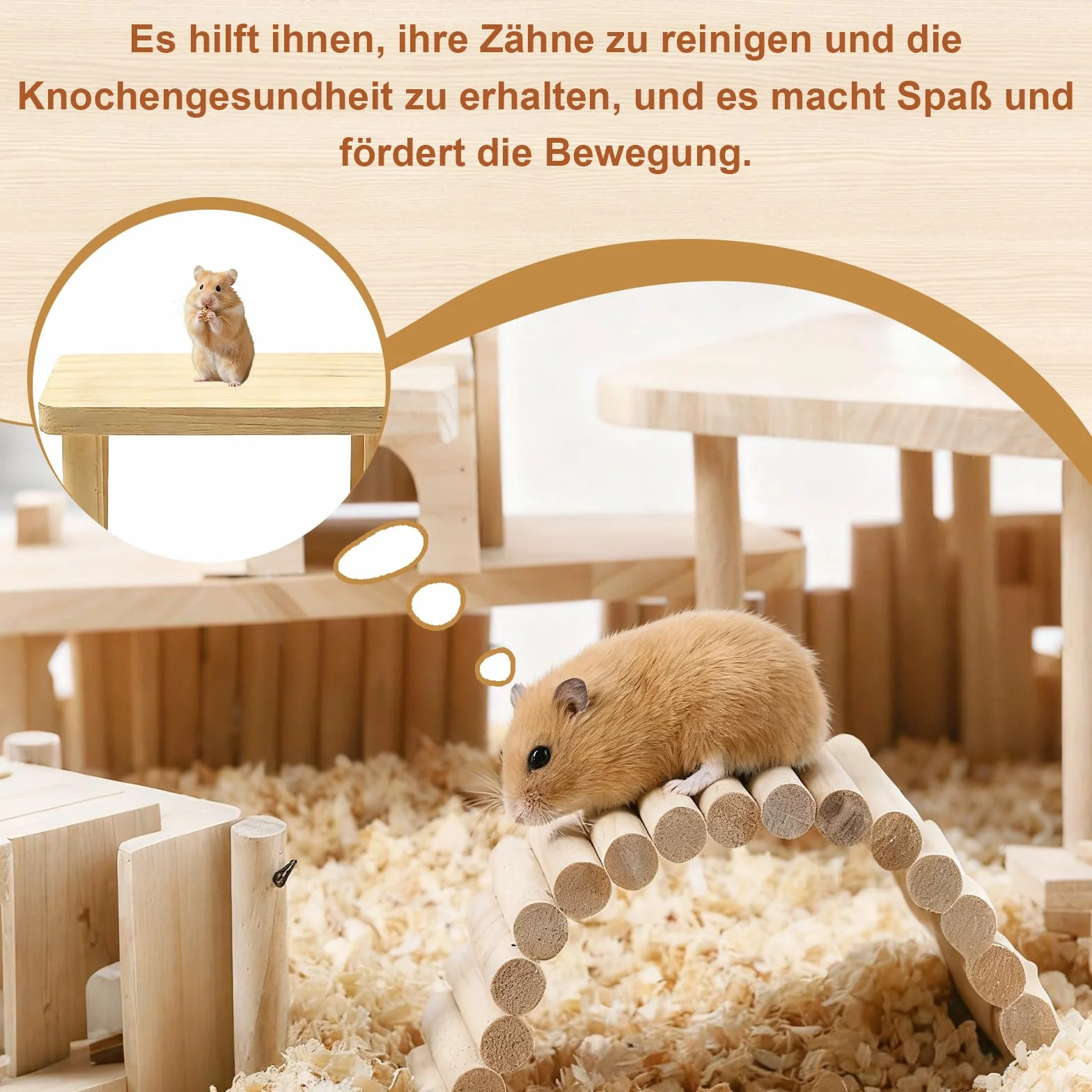Accessoires pour hamster plates-formes en bois de pin escalade équilibre 25x14x12 cm 15x9x8 cm