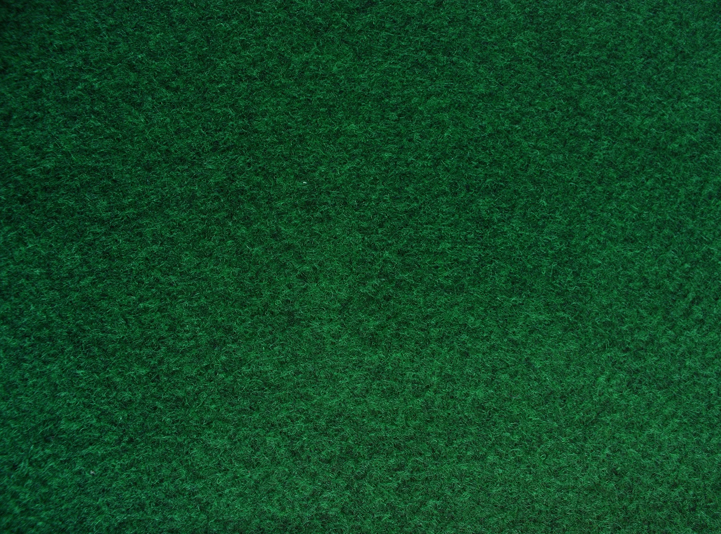 Komodo Reptile Tapis