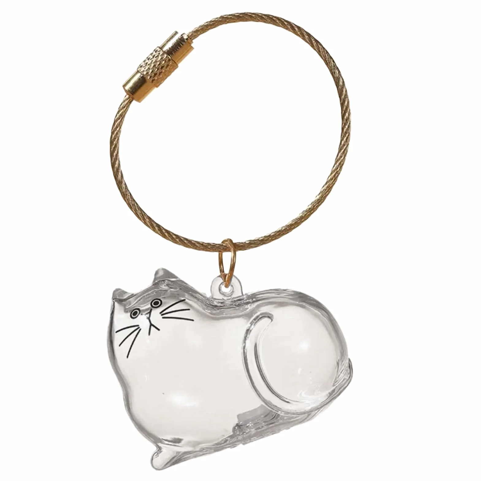 Porte-clés C-apsule Commémorative en Poils de Chat, Boîte Mémoriale pour Poils d'Animaux, Contenant Transparent Portatif