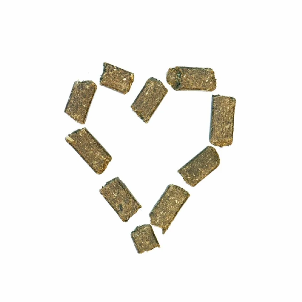 Agrobs WiesenBussi Lot de 2 x 1 kg Complément alimentaire pour chevaux Herbes