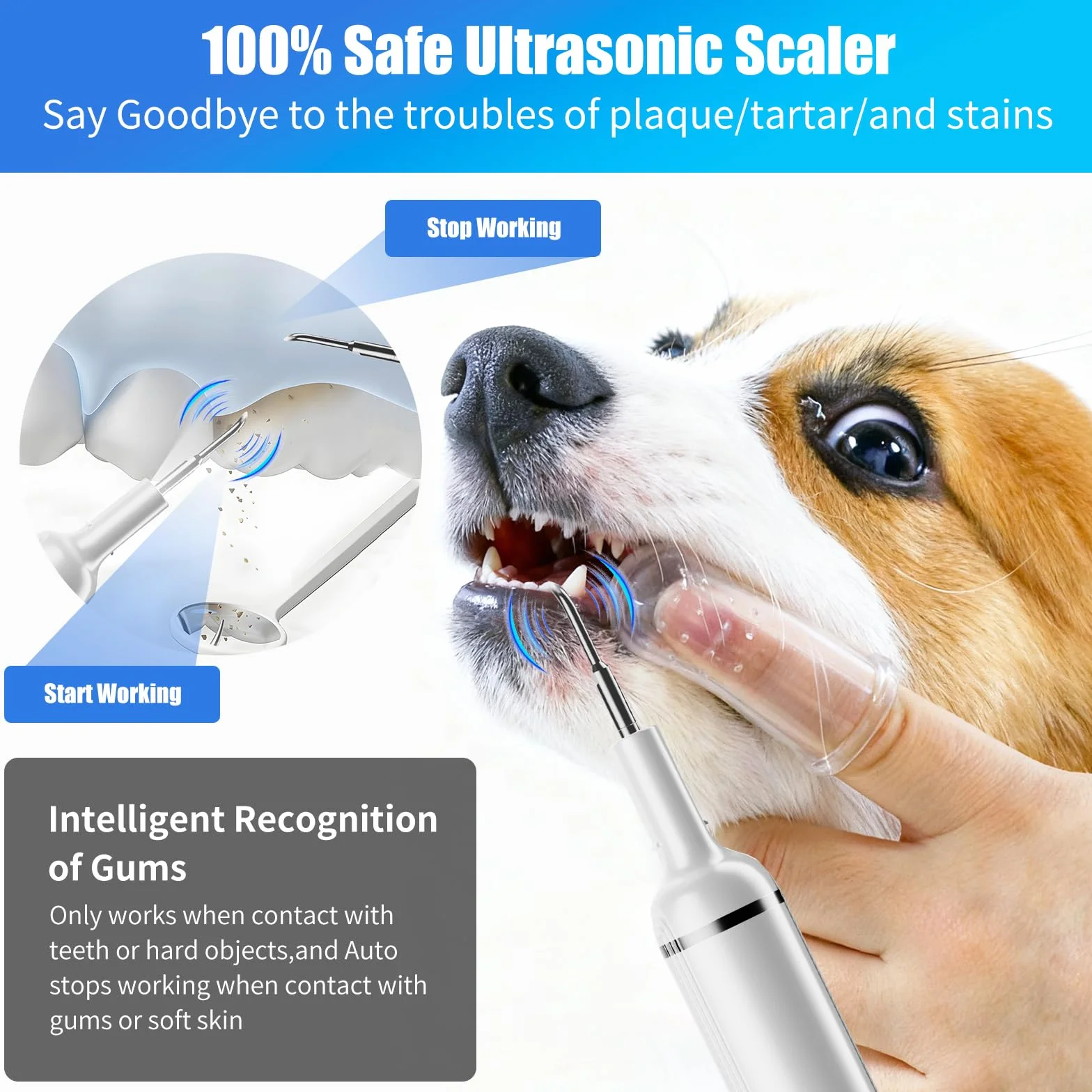 Kit de Nettoyage Tartre Dentaire à Ultrasons pour Chien et Chat, Detartreur Dentaire Ultrason, 5 Modes et 4 Têtes