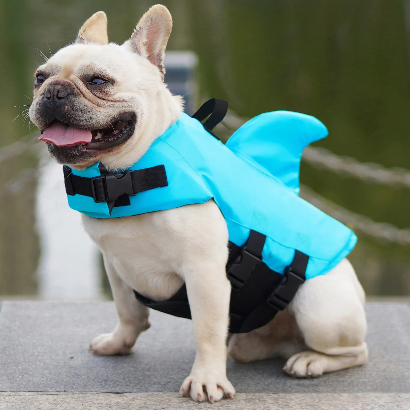 Gilet de Sauvetage pour Chien Bouée de Natation Chiot Sécurité Piscine XS Bleu