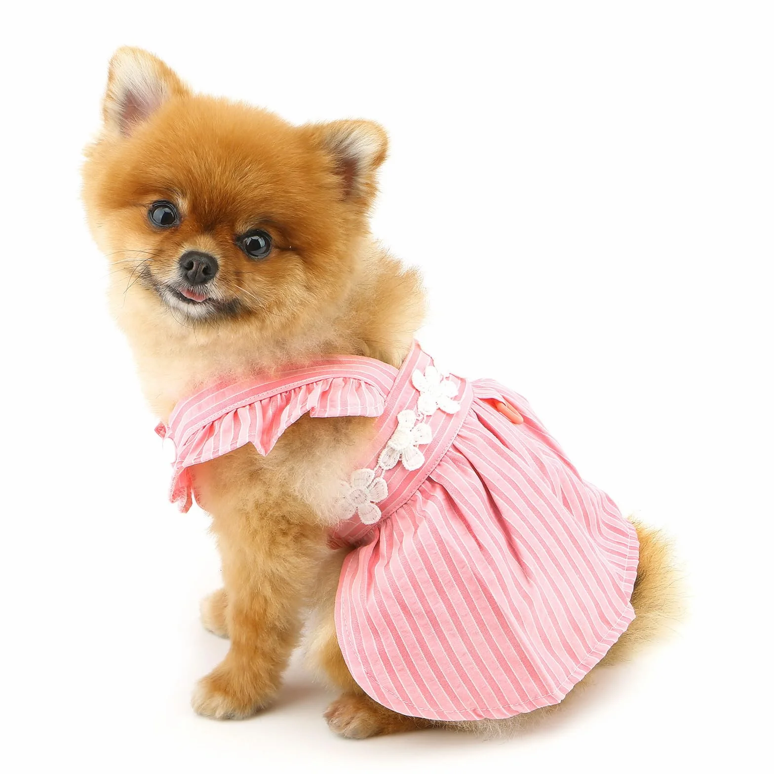 PAIDEFUL Robe d'été élégante pour petit chien Jupe rayée avec broderie florale Costume pour chat et chihuahua