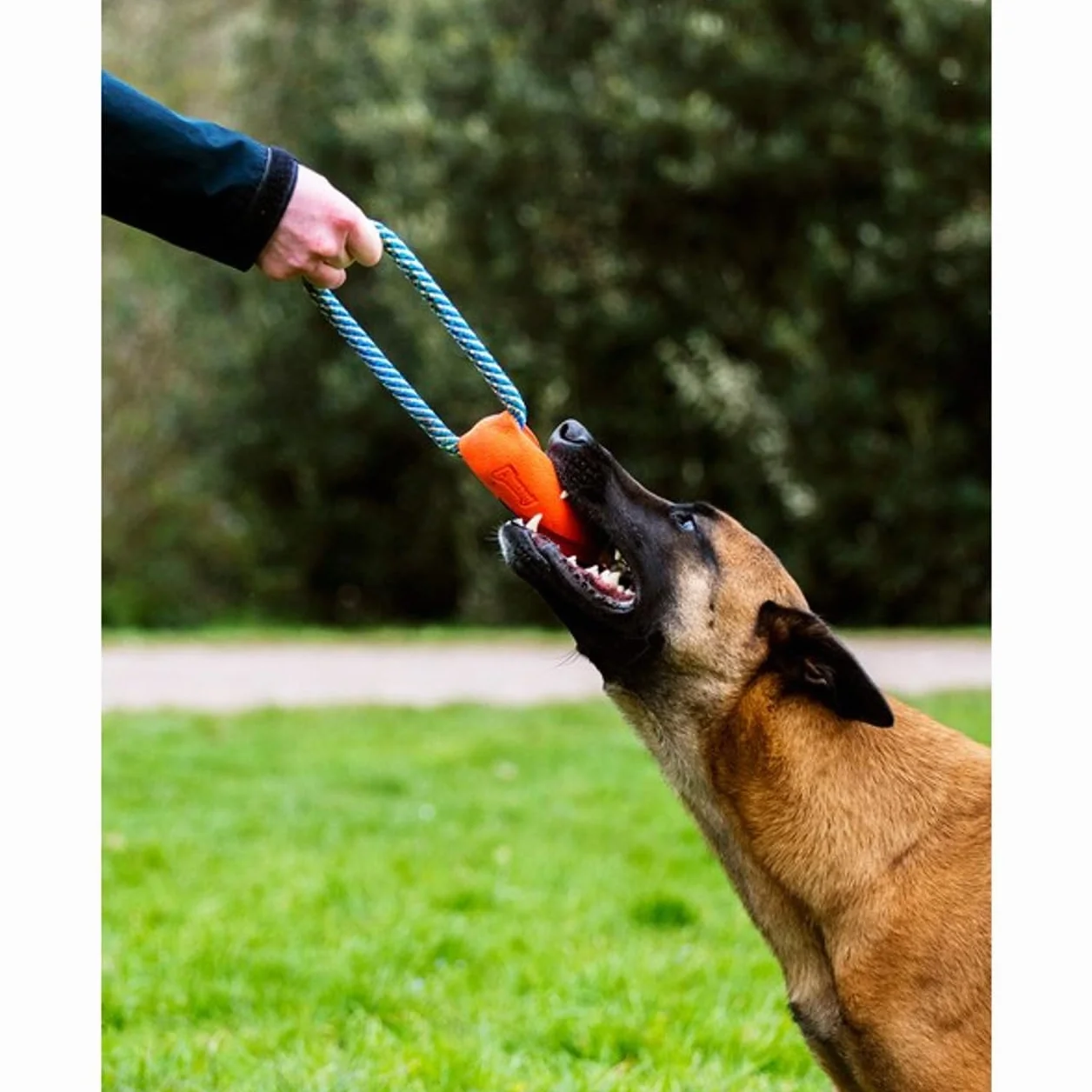 Chuckit! Ultra Bumper Tug - Jouet à Poursuivre pour Chien en Caoutchouc Robuste
