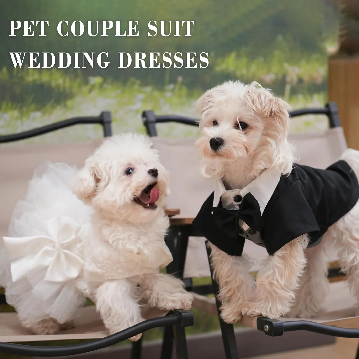 Robe de mariage blanche broderie dentelle jupe tutu princesse chiot petite moyenne taille costume chat 4XL