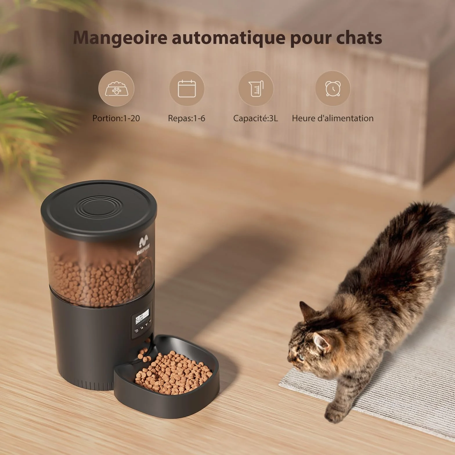IMIPAW Distributeur Croquettes Chat Automatique Fontaine à Eau Programmable 1-6 Repas Filtre Noir