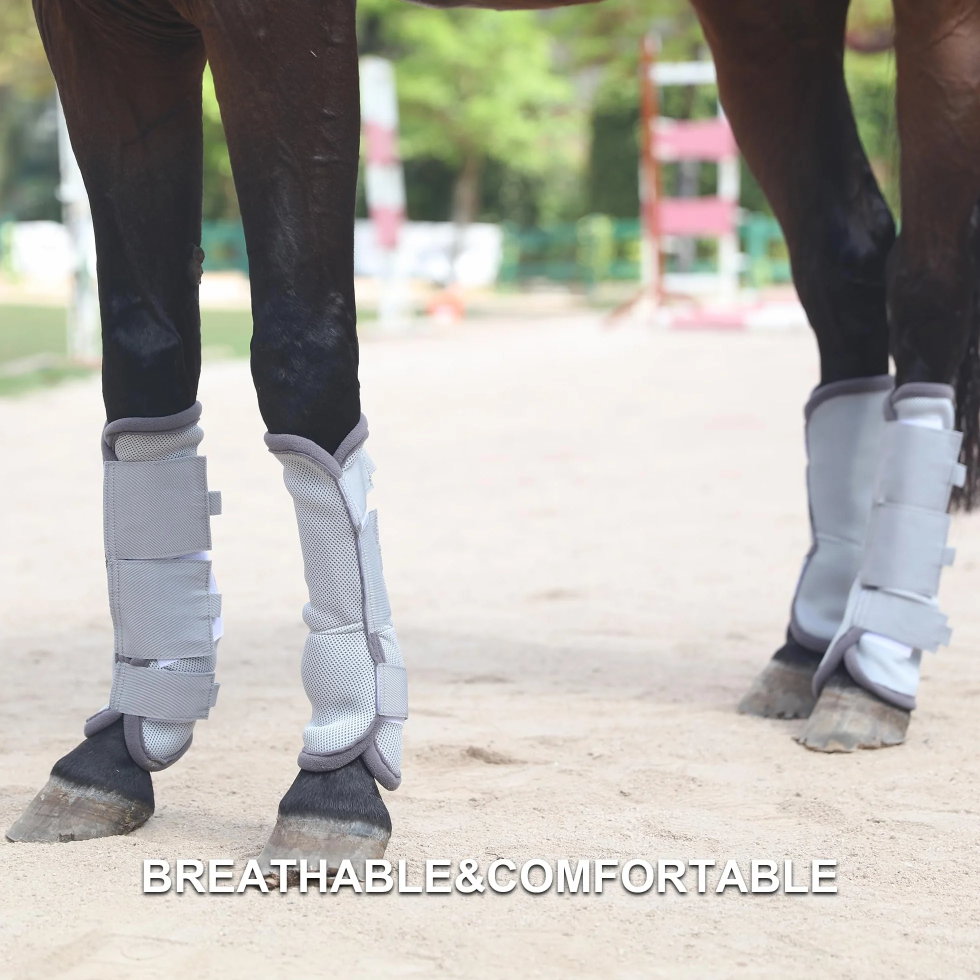 Leberna Lot 4 bottes anti-mouches cheval gris taille complète