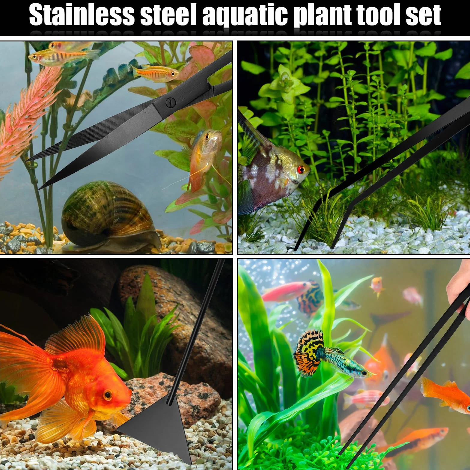 Kit de démarrage pour terrarium aquarium 4 en 1 en acier inoxydable - Pince à épiler longue, ciseaux et spatules