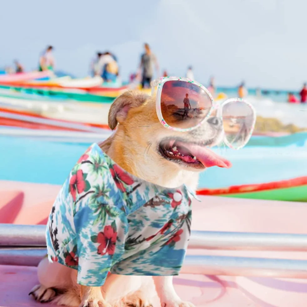 Chemise hawaïenne chien t-shirt d'été confortable beach resort style vêtements pour animaux petits à moyens chiens chats M