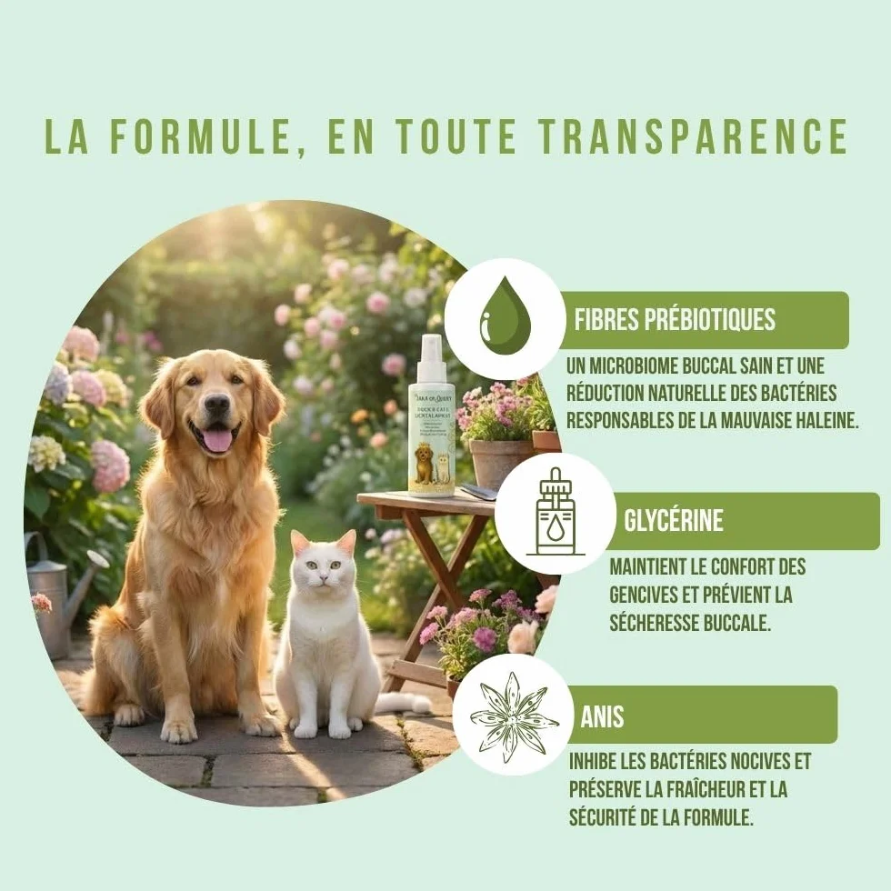 Spray Dentaire Chien & Chat 100ml – Haleine Fraîche, Anti Plaque, Anti Tarte – Formule Prébiotique Naturelle