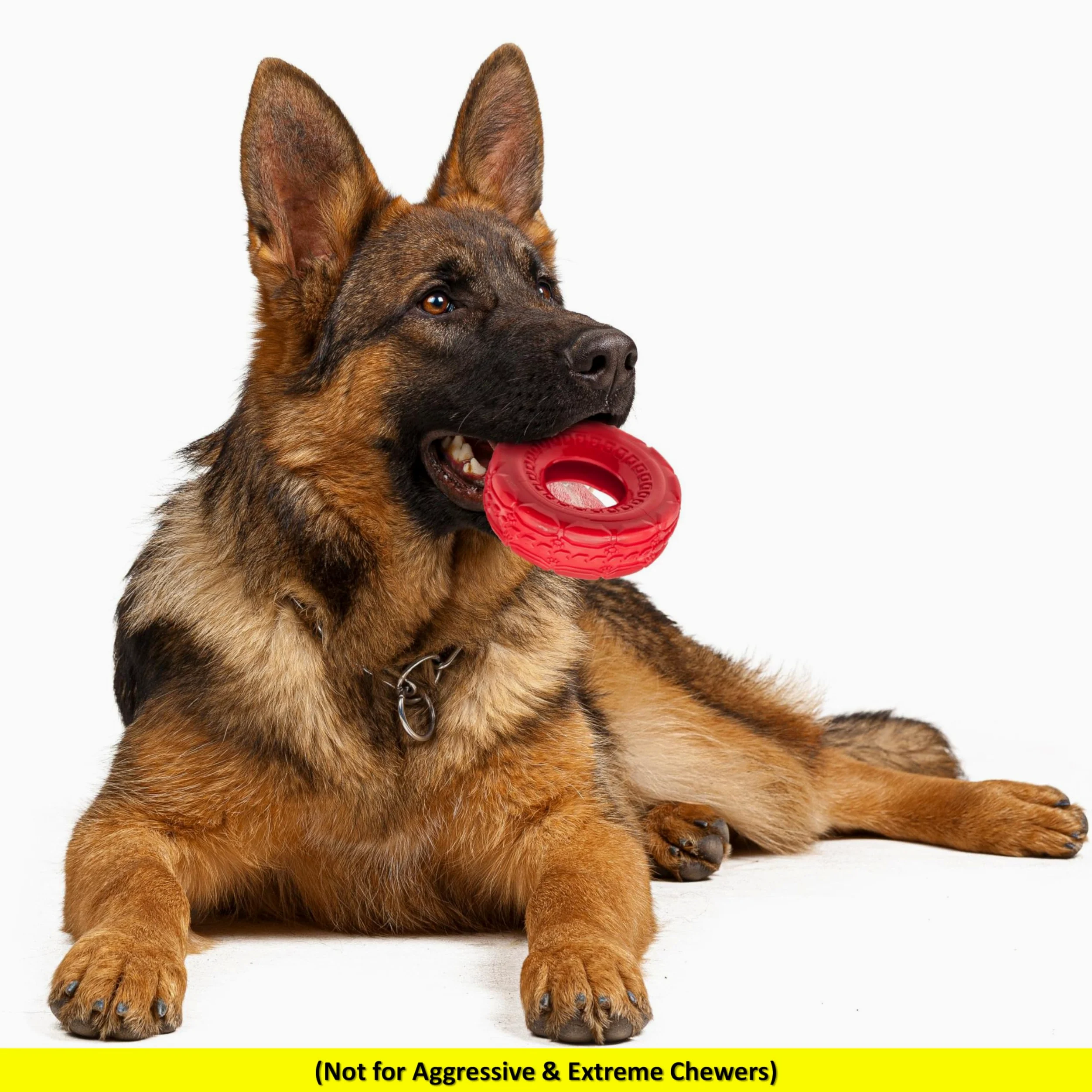 Lot de 2 jouets à mâcher en caoutchouc pour chien de 12,7 cm | TPR Tough Dog Toys Large Medium | Roue de pneu | Jouets interactifs pour chien pour l'ennui | Jouets flottants pour chien | Jouets de