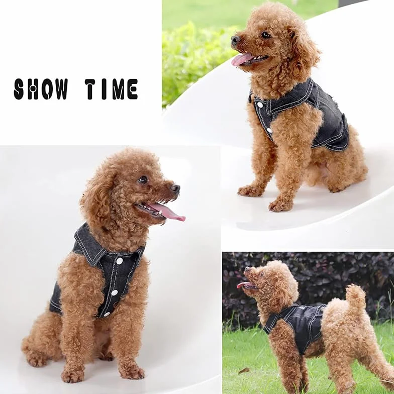 Veste en Jean pour Chien, T-Shirt en Denim Bleu pour Chiot, Vêtements Lavables pour Animaux de Compagnie