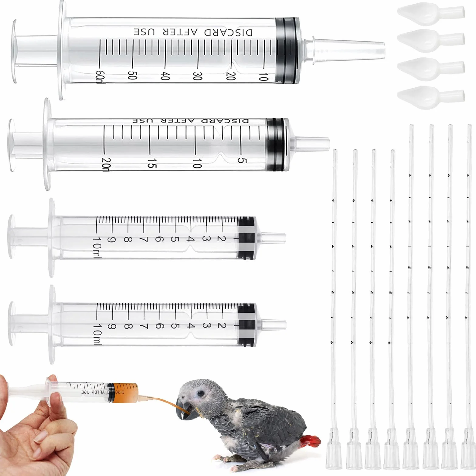 Sonde d'alimentation pour oiseaux seringue 10ML 20ML 60ML