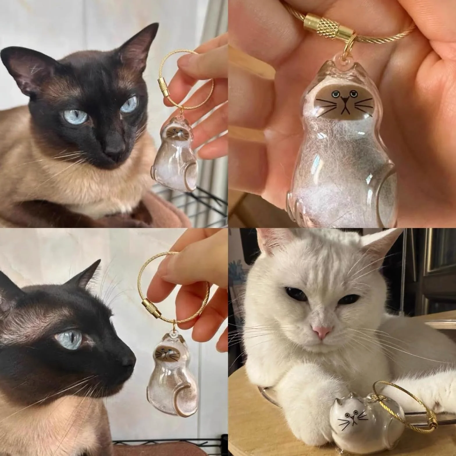 Médaille Souvenir Poils de Chat, 6 Pièces Médaillon à Remplir, Bijoux Funéraire pour Animaux