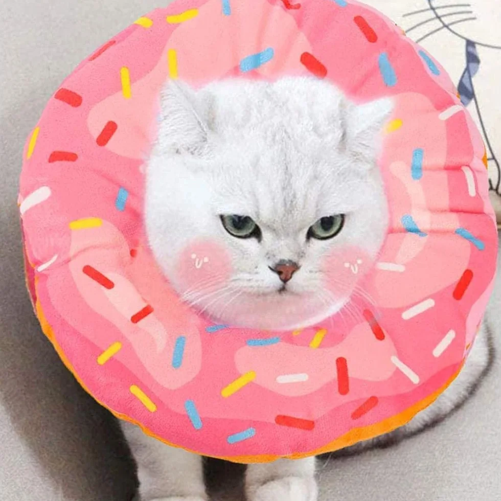 Collier de Récupération pour Chat, Collerette de Protection Souple Anti-Morsure, Cône Anti Léchage Après Chirurgie Rose (M)