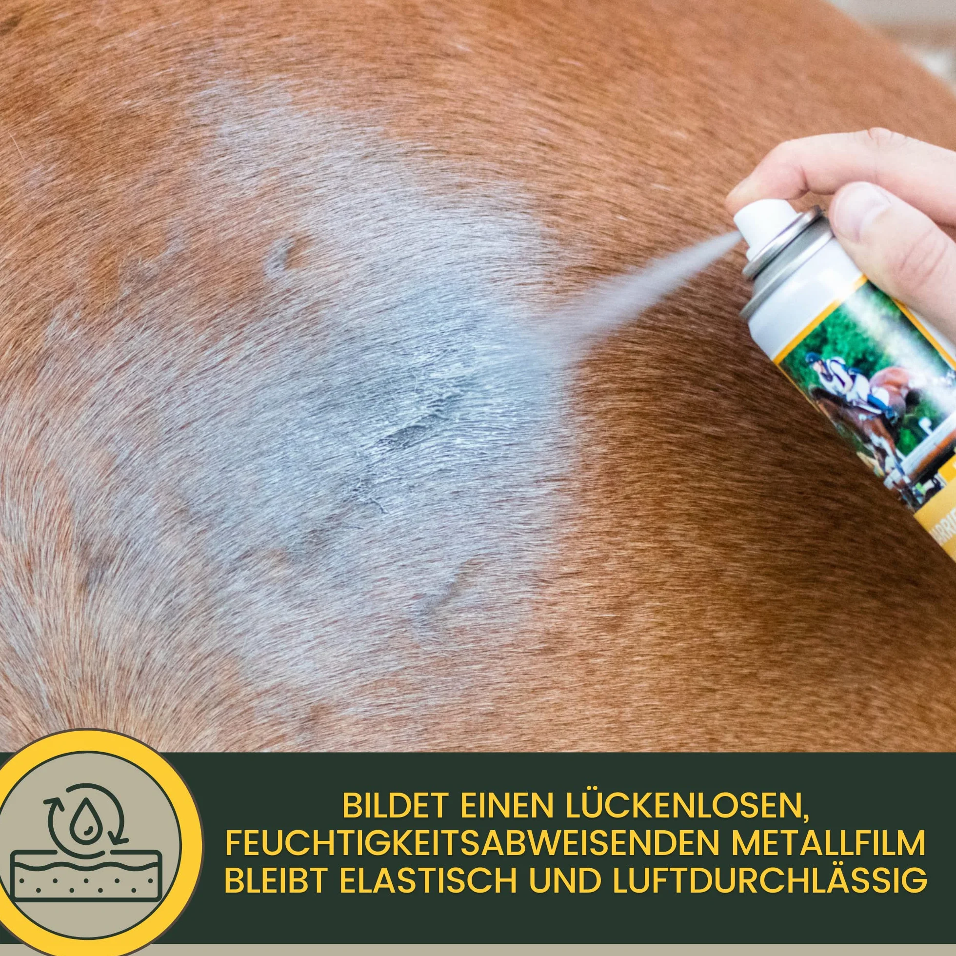 Kit de premiers secours pour animaux Spray argent pommade zinc cheval vache cicatrisant désinfectante plaies 250ml 200ml