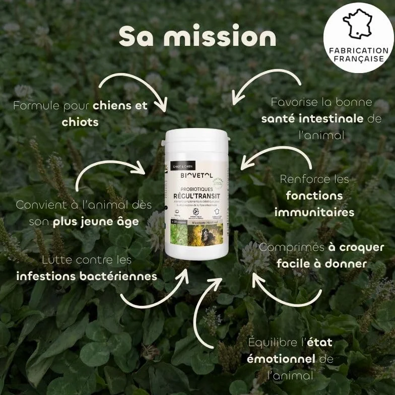 Biovetol Probiotique Comprimés Regul'Transit Complément Alimentaire Spécial Transit Chien Lot de 3